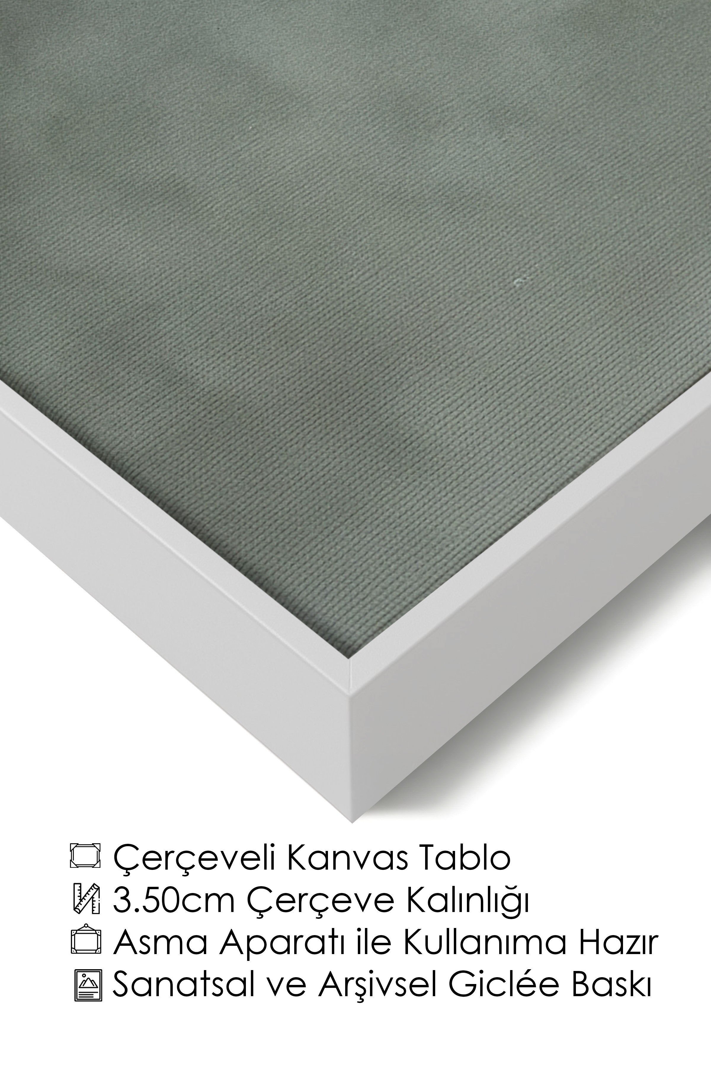 Duvar Tablosu, Lüks Beyaz Çerçeveli Kanvas Tablo, Ritüel Serisi, Kuş Tablo, NO:115213