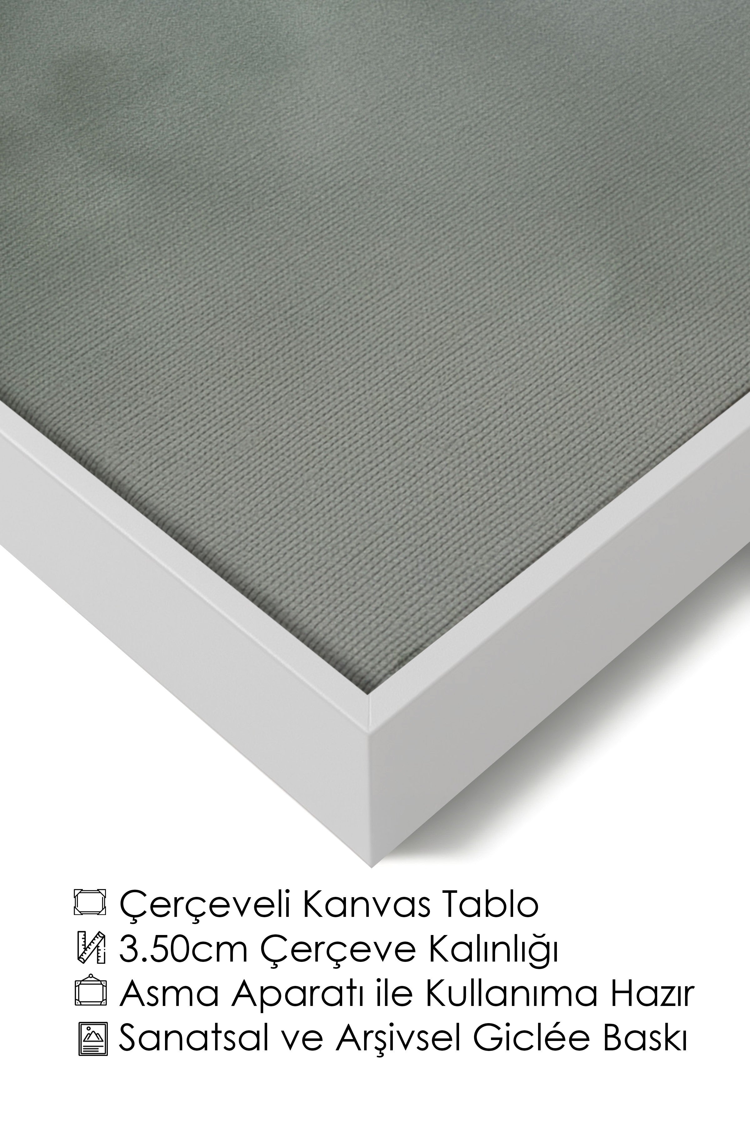 Duvar Tablosu, Lüks Beyaz Çerçeveli Kanvas Tablo, Ritüel Serisi, Kuş Tablo, NO:115221