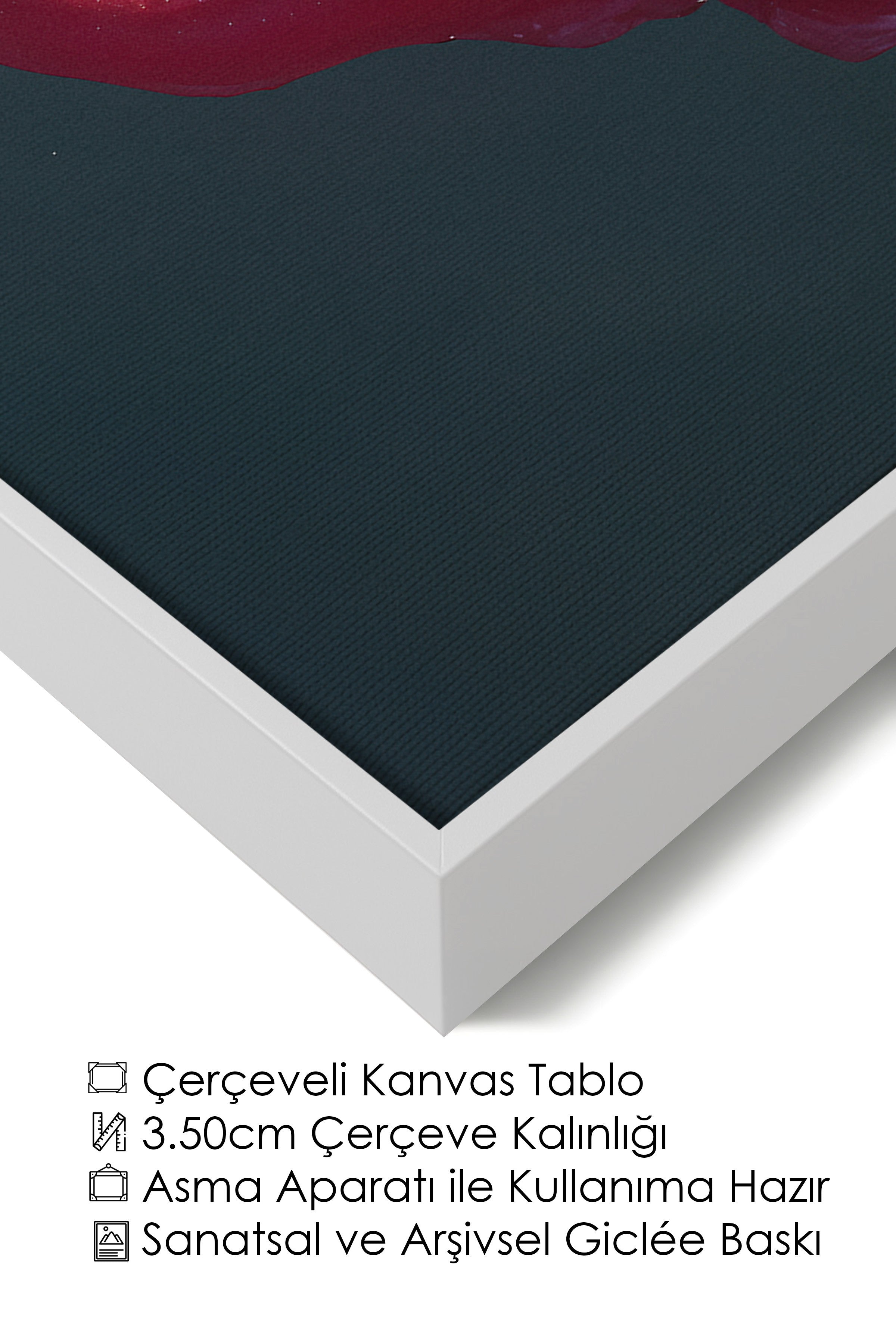 Duvar Tablosu, Lüks Beyaz Çerçeveli Kanvas Tablo, Ritüel Serisi, Kuş Tablo, NO:115228