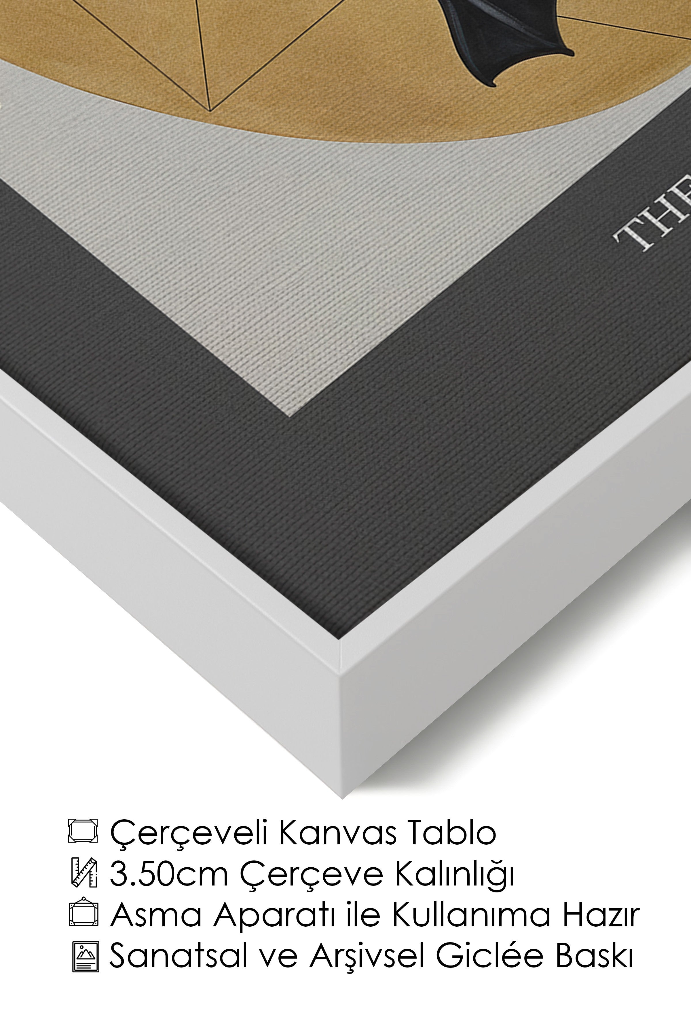 Duvar Tablosu, Lüks Beyaz Çerçeveli Kanvas Tablo, Ritüel Serisi, Kuş Tablo, NO:115230