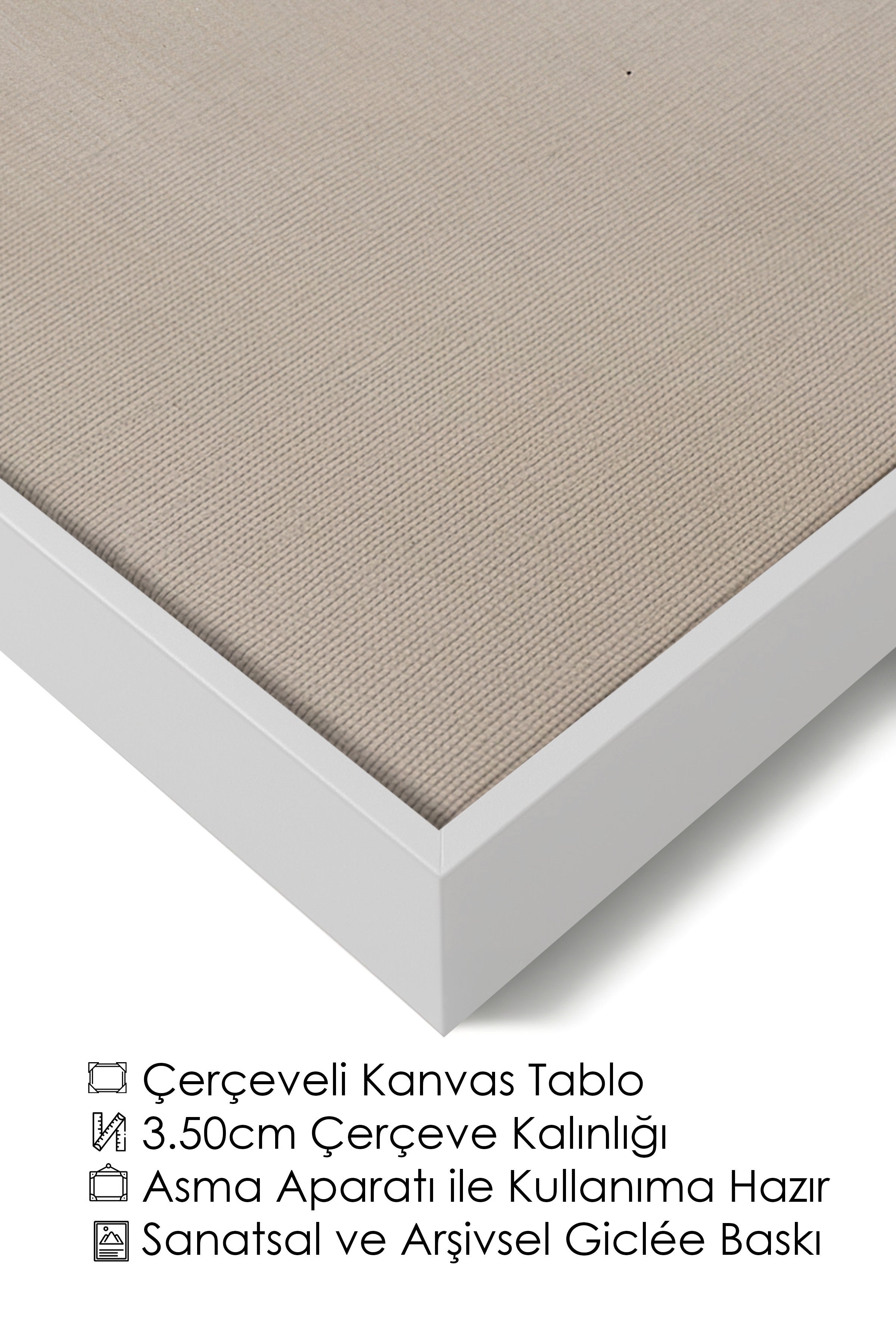 Duvar Tablosu, Lüks Beyaz Çerçeveli Kanvas Tablo, Ritüel Serisi, Kuş Tablo, NO:115231