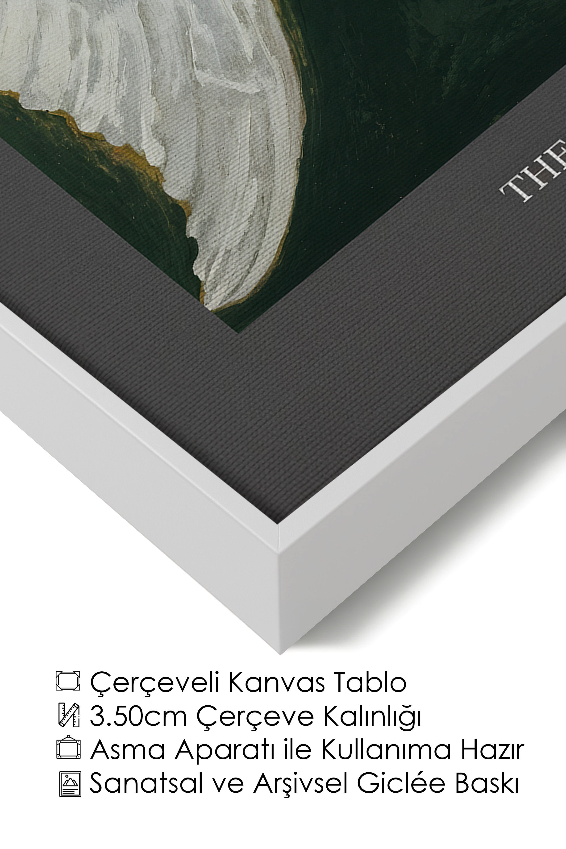 Duvar Tablosu, Lüks Beyaz Çerçeveli Kanvas Tablo, Ritüel Serisi, Kuş Tablo, NO:115232