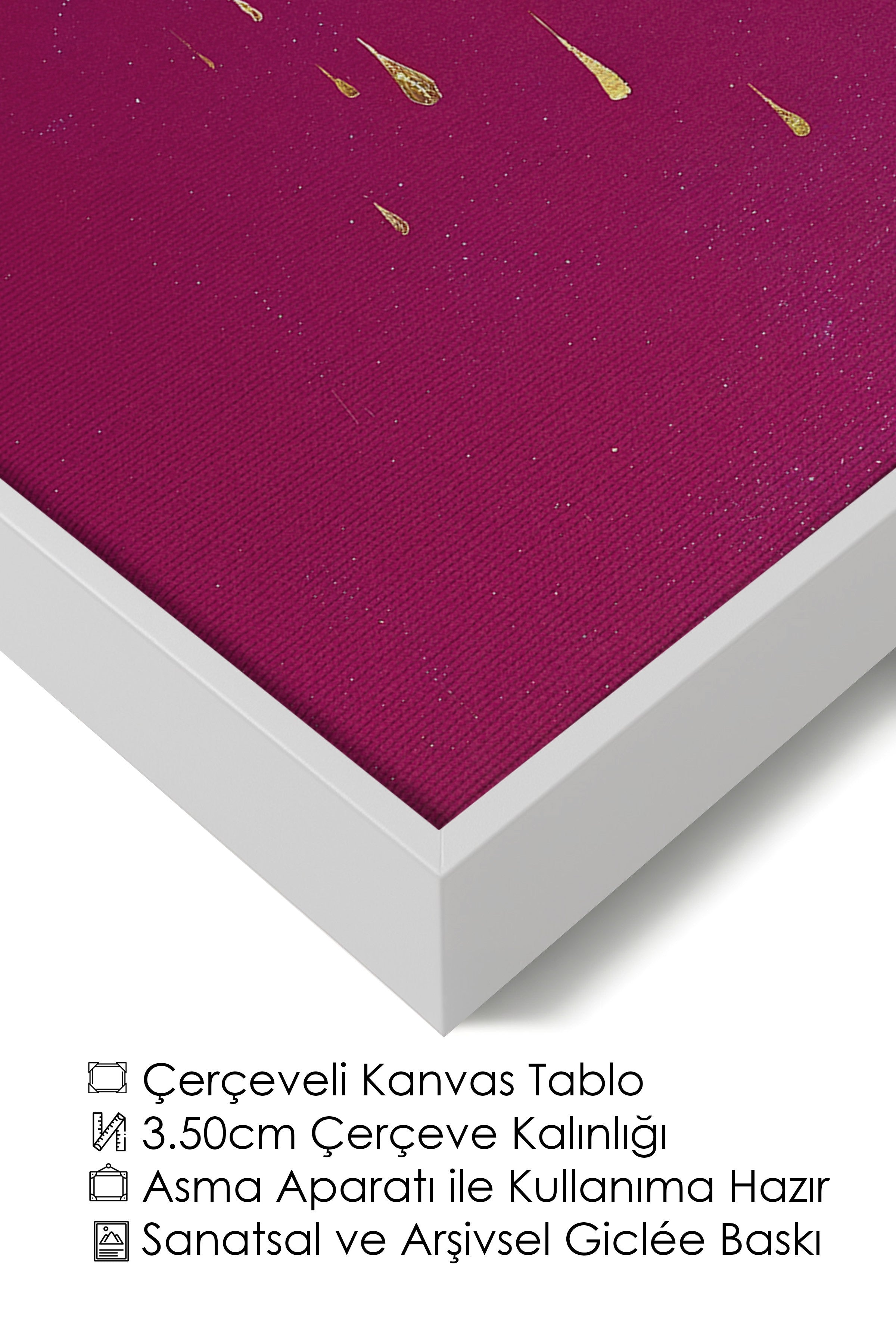 Duvar Tablosu, Lüks Beyaz Çerçeveli Kanvas Tablo, Ritüel Serisi, Kuş Tablo, NO:115233