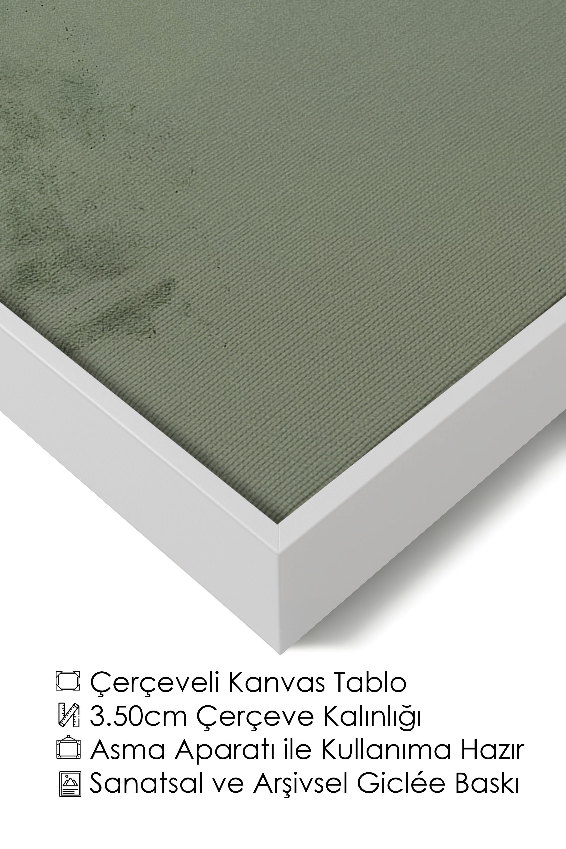 Duvar Tablosu, Lüks Beyaz Çerçeveli Kanvas Tablo, Ritüel Serisi, Kuş Tablo, NO:115234