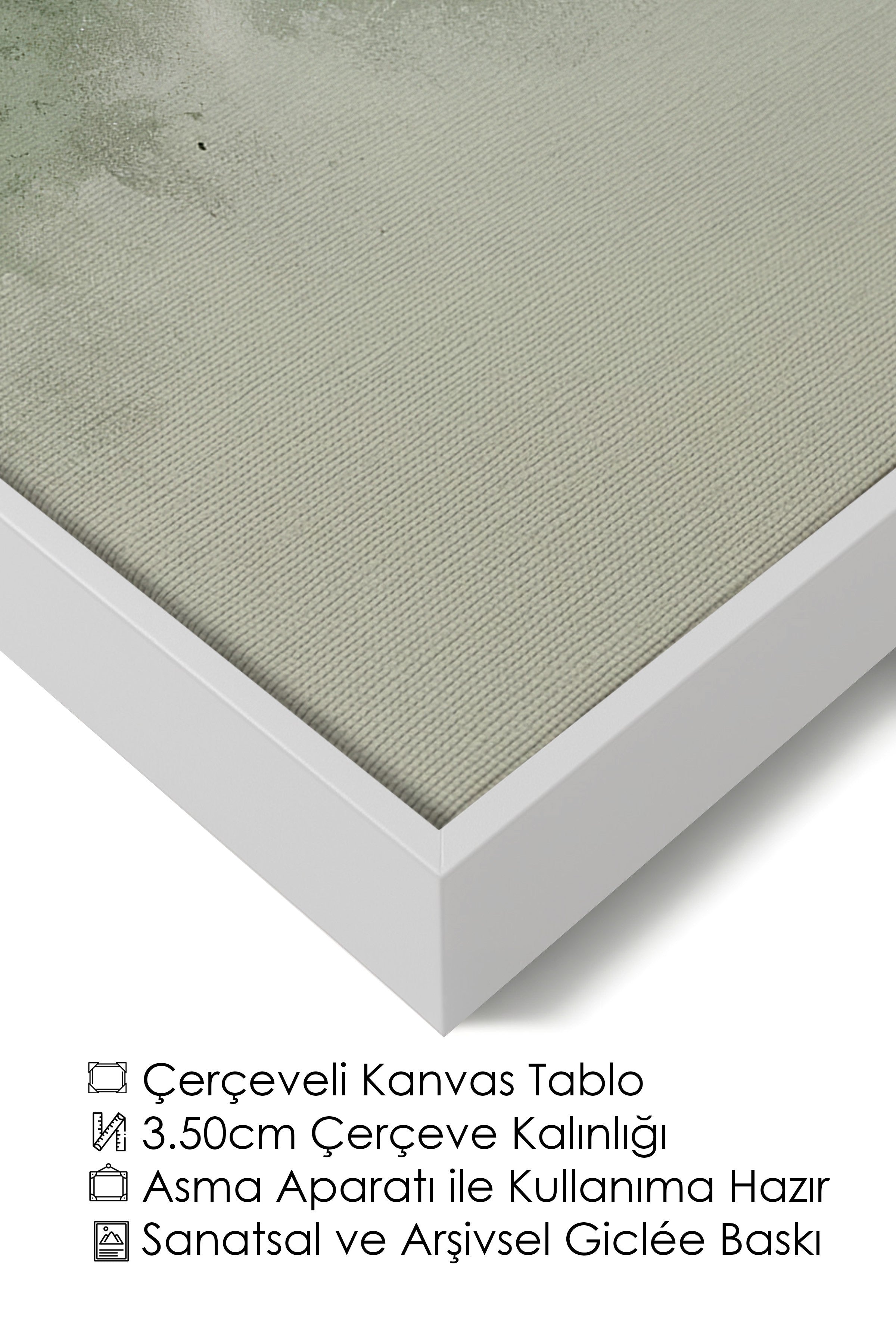 Duvar Tablosu, Lüks Beyaz Çerçeveli Kanvas Tablo, Ritüel Serisi, Kuş Tablo, NO:115236