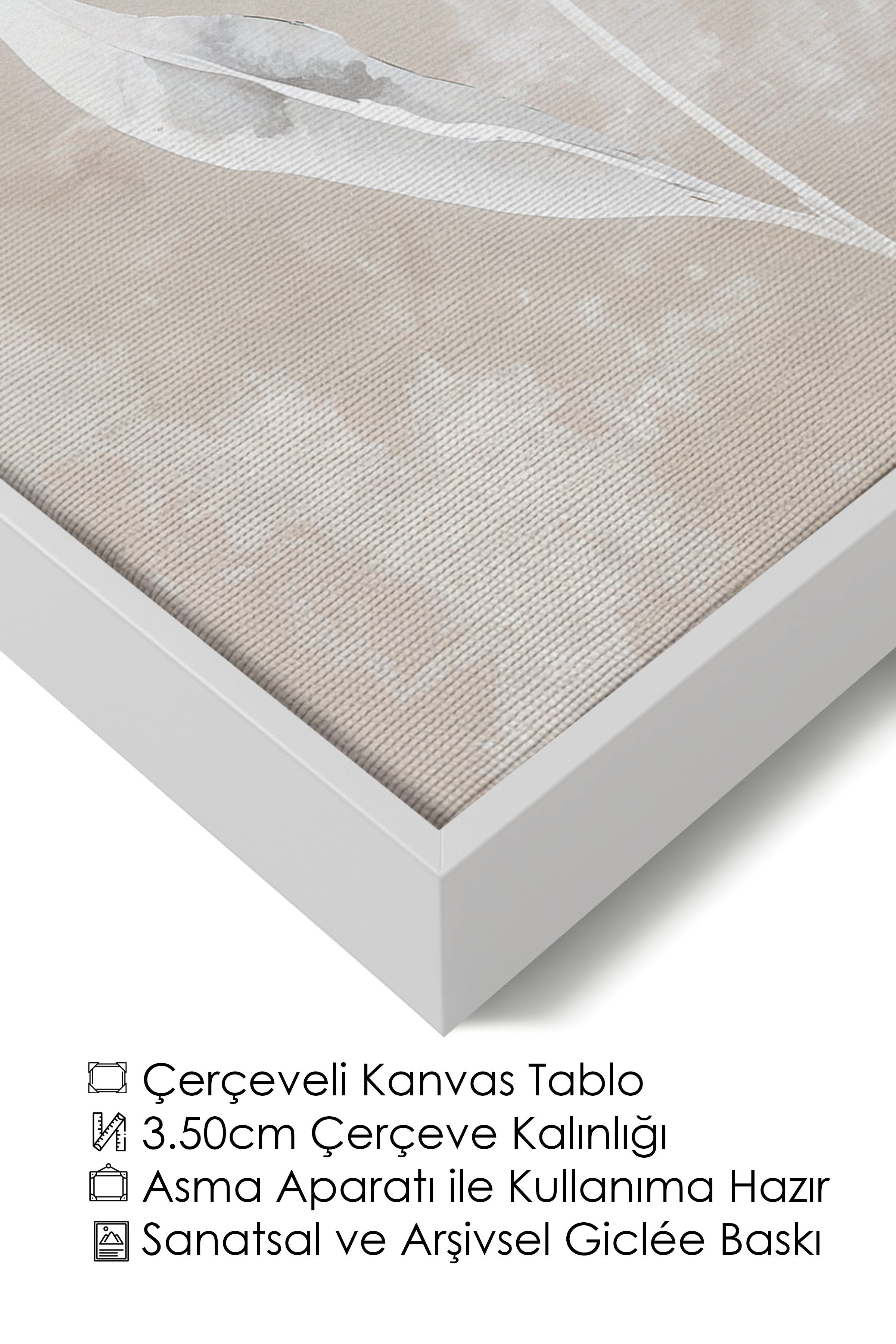 Duvar Tablosu, Lüks Beyaz Çerçeveli Kanvas Tablo, Ritüel Serisi, Kuş Tablo, NO:115241