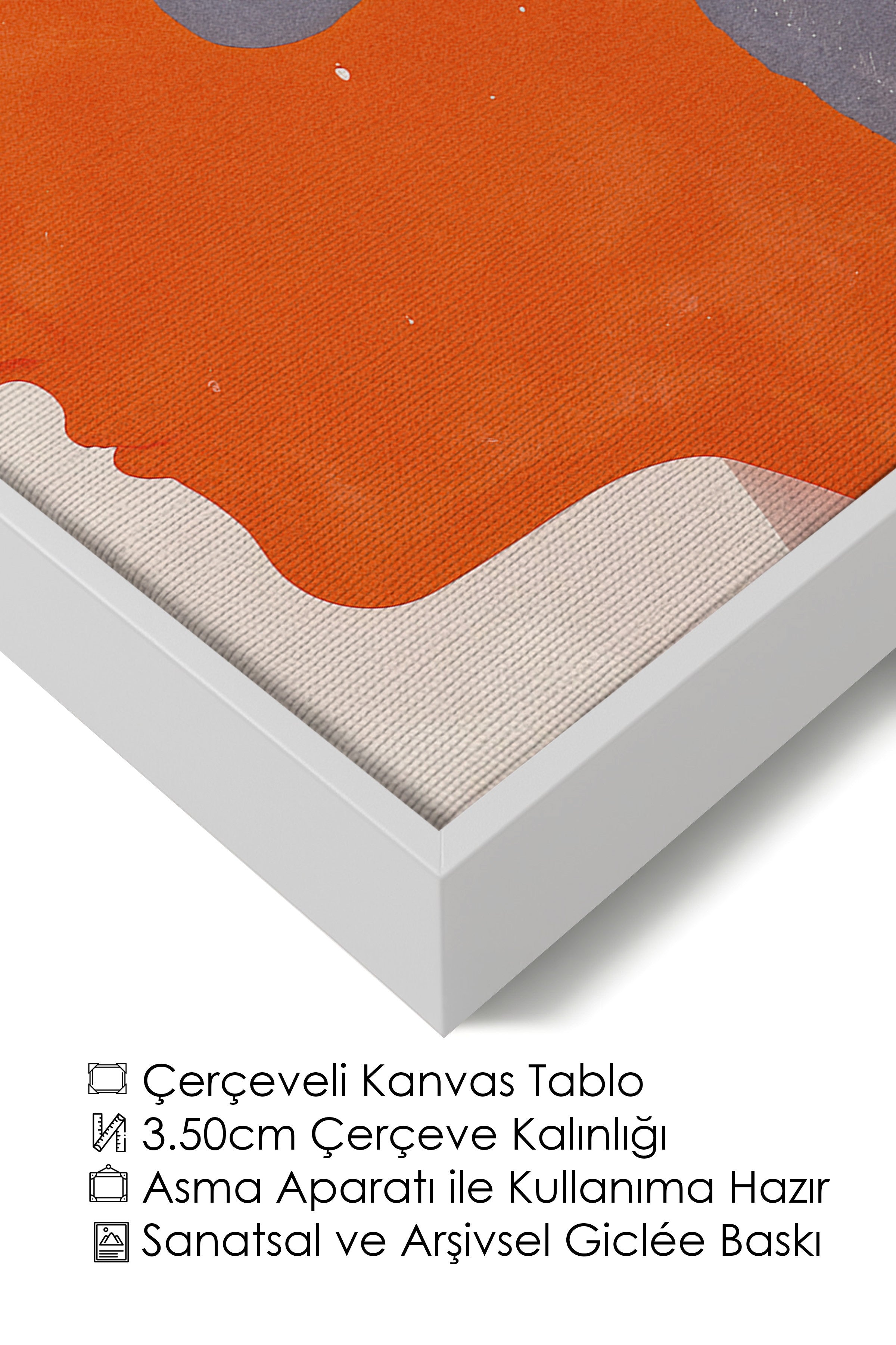 Duvar Tablosu, Lüks Beyaz Çerçeveli Kanvas Tablo, Ritüel Serisi, Maximalist Tablo, NO:115192