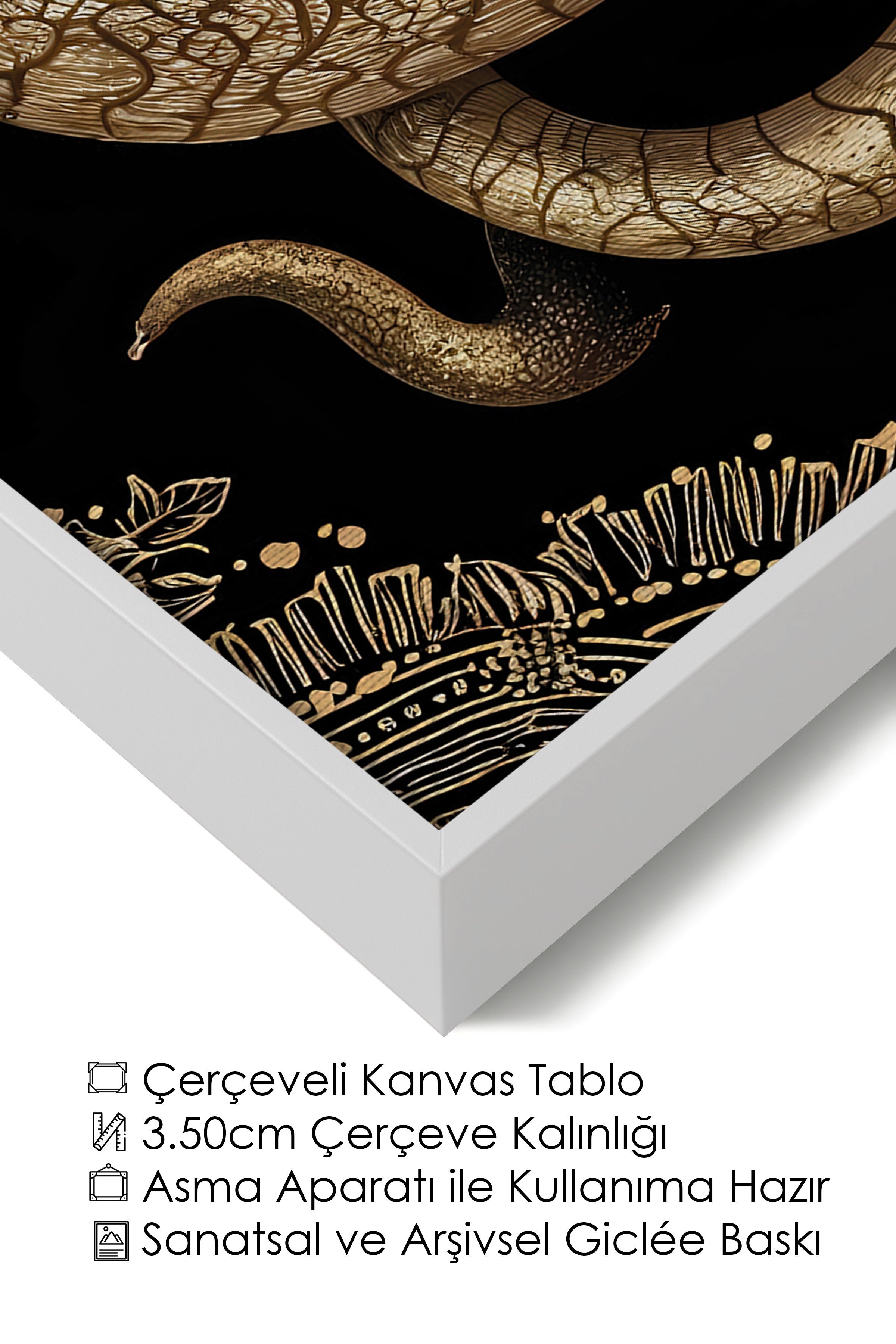 Duvar Tablosu, Lüks Beyaz Çerçeveli Kanvas Tablo, Ritüel Serisi, Yılan Tablo, NO:115271