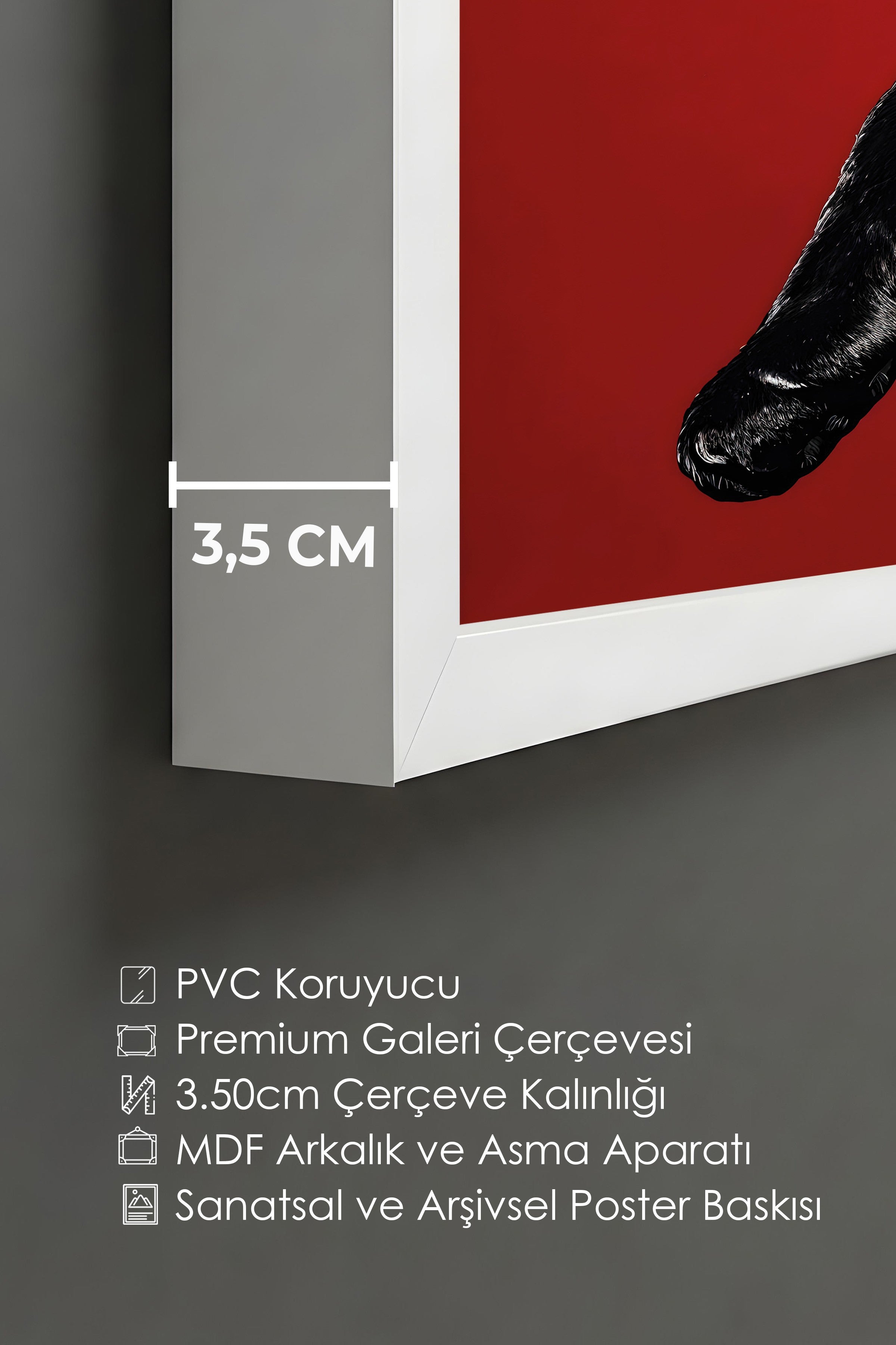 Duvar Tablosu, Lüks Beyaz Çerçeveli Tablo ve Poster, Ritüel Serisi, Leopar Tablo, NO:115261
