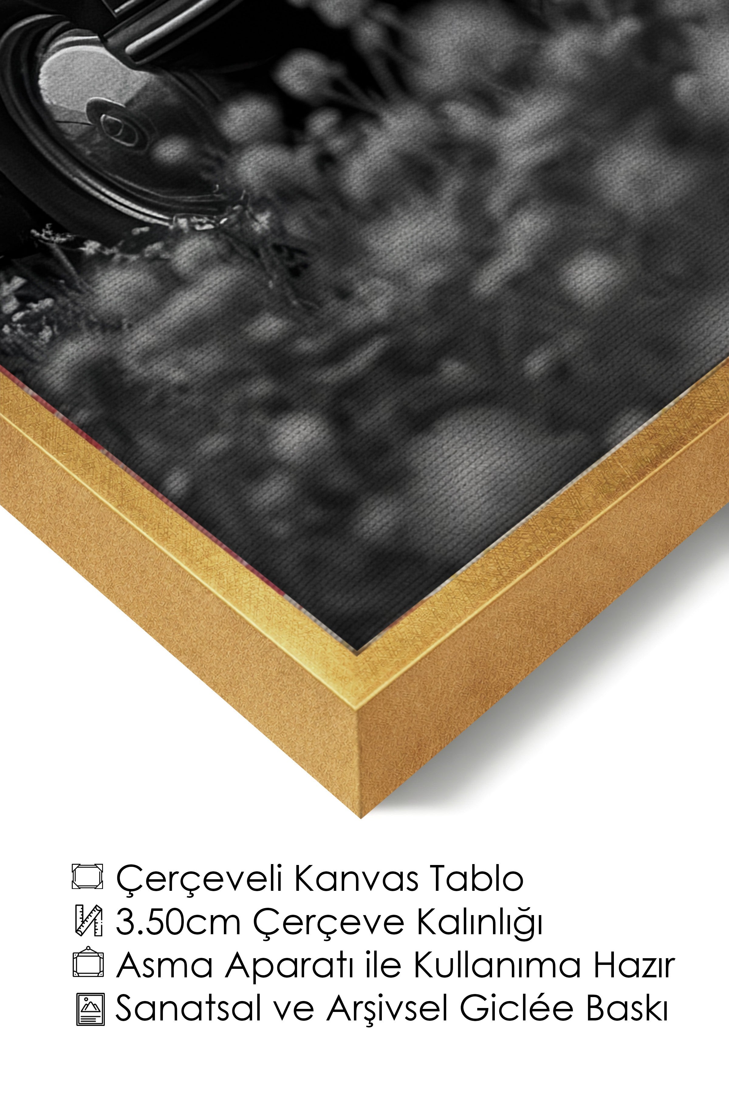 Duvar Tablosu, Lüks Gold Çerçeveli Kanvas Tablo, Ritüel Serisi, At Tablo, NO:115225
