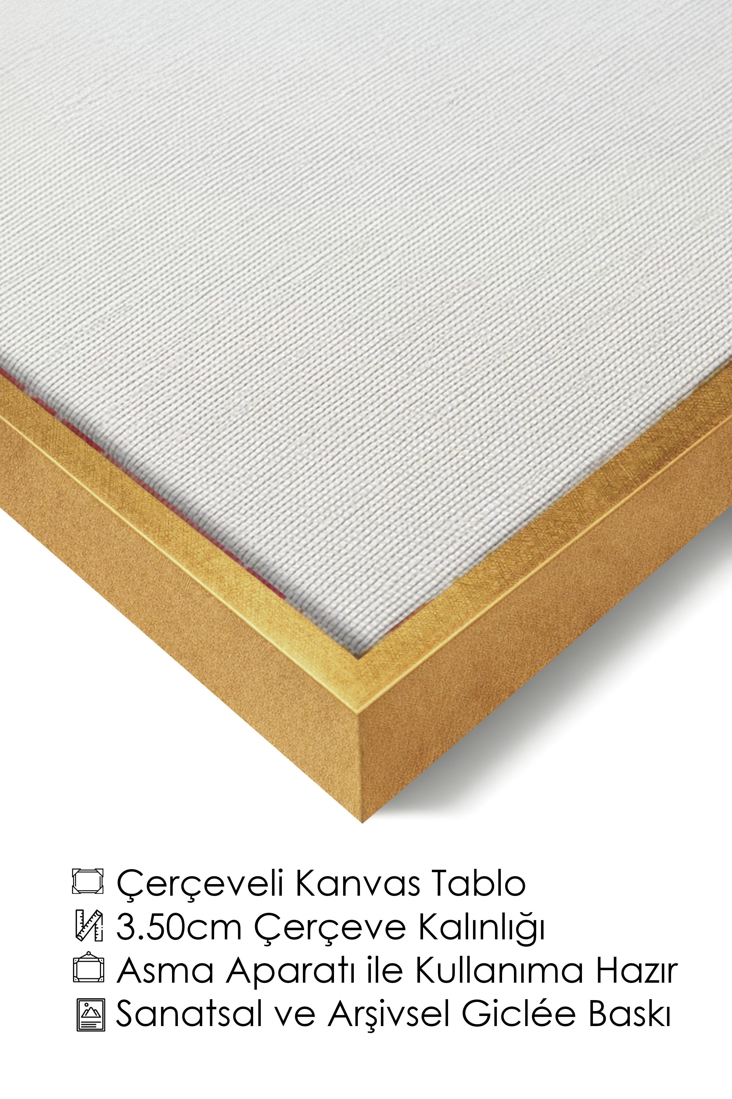 Duvar Tablosu, Lüks Gold Çerçeveli Kanvas Tablo, Ritüel Serisi, Kuş Tablo, NO:115186