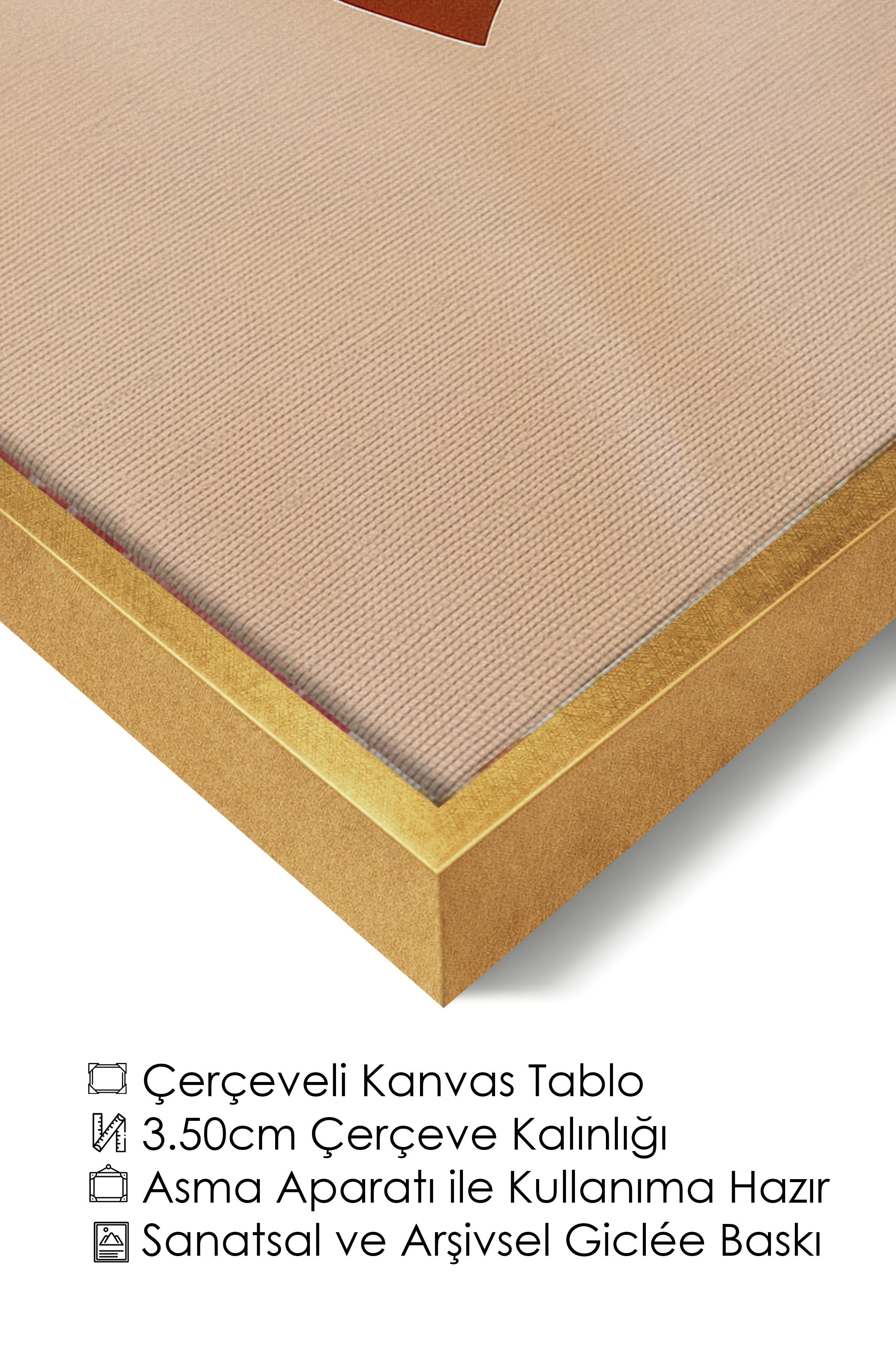 Duvar Tablosu, Lüks Gold Çerçeveli Kanvas Tablo, Ritüel Serisi, Kuş Tablo, NO:115188