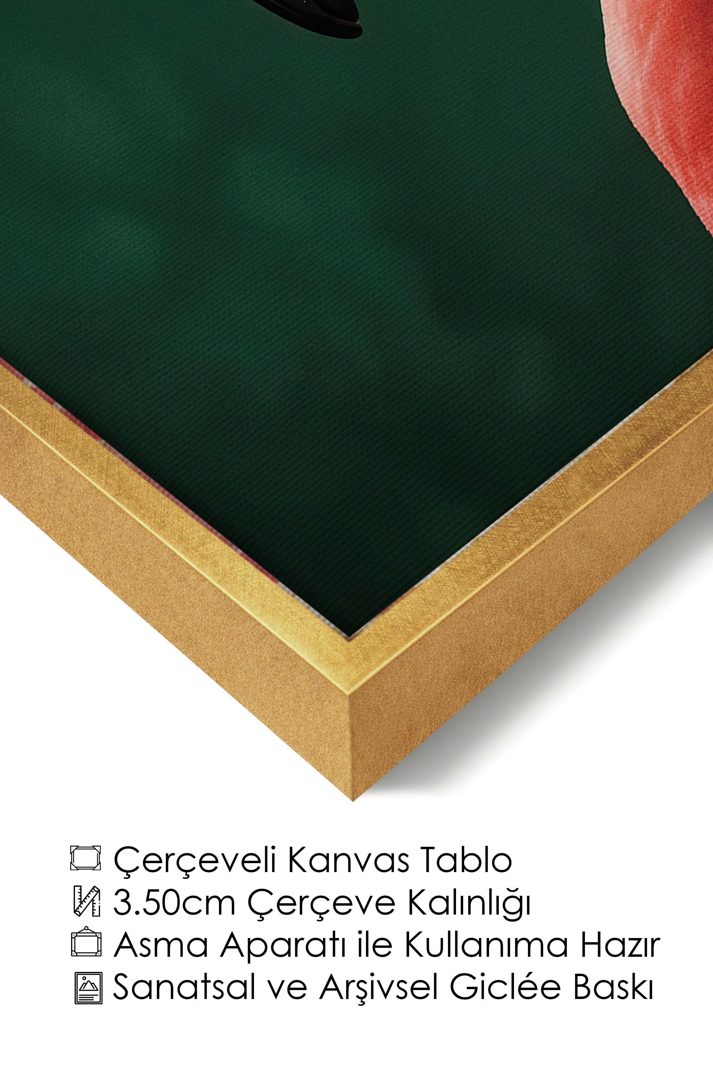 Duvar Tablosu, Lüks Gold Çerçeveli Kanvas Tablo, Ritüel Serisi, Kuş Tablo, NO:115198