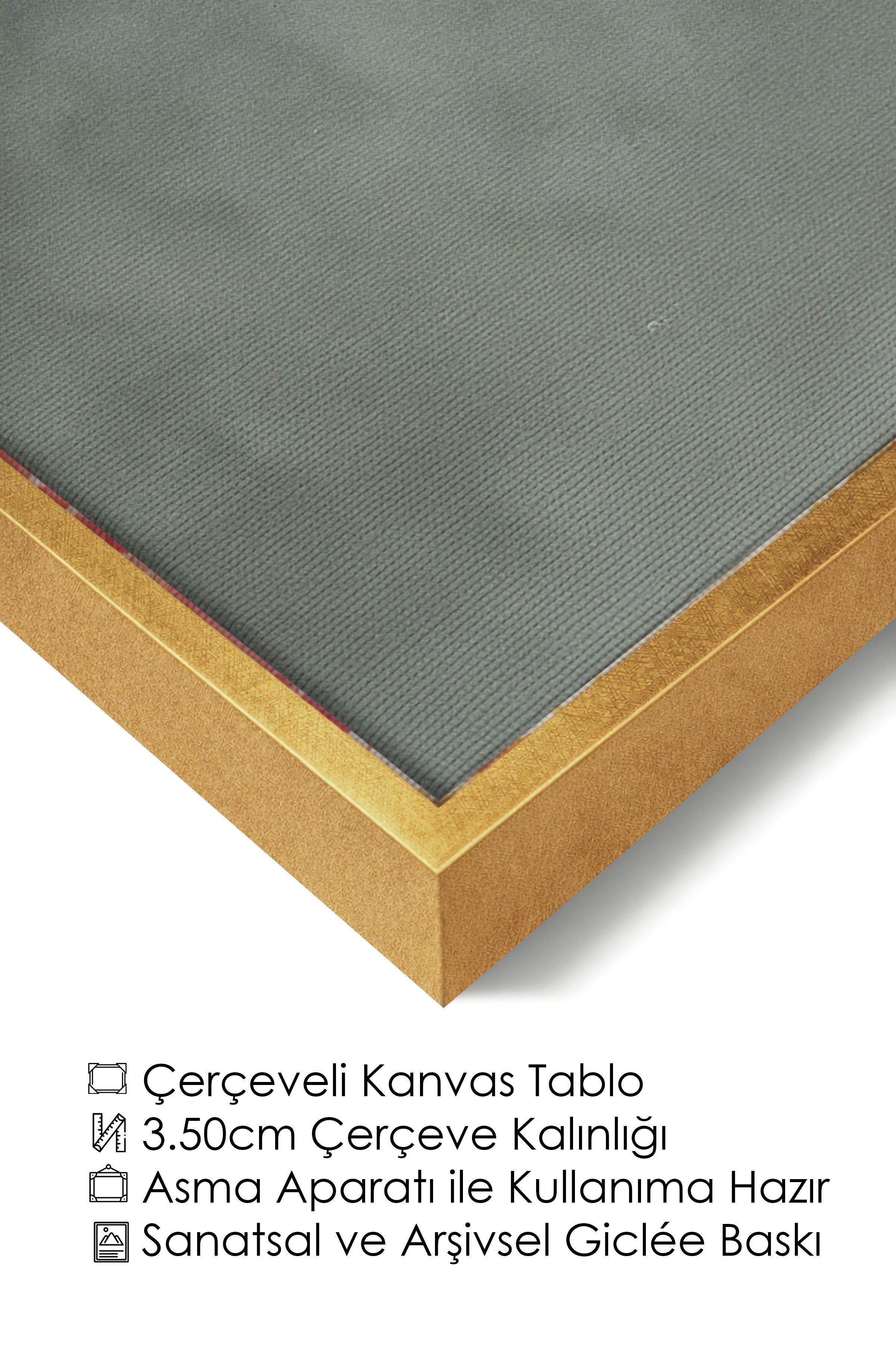 Duvar Tablosu, Lüks Gold Çerçeveli Kanvas Tablo, Ritüel Serisi, Kuş Tablo, NO:115213