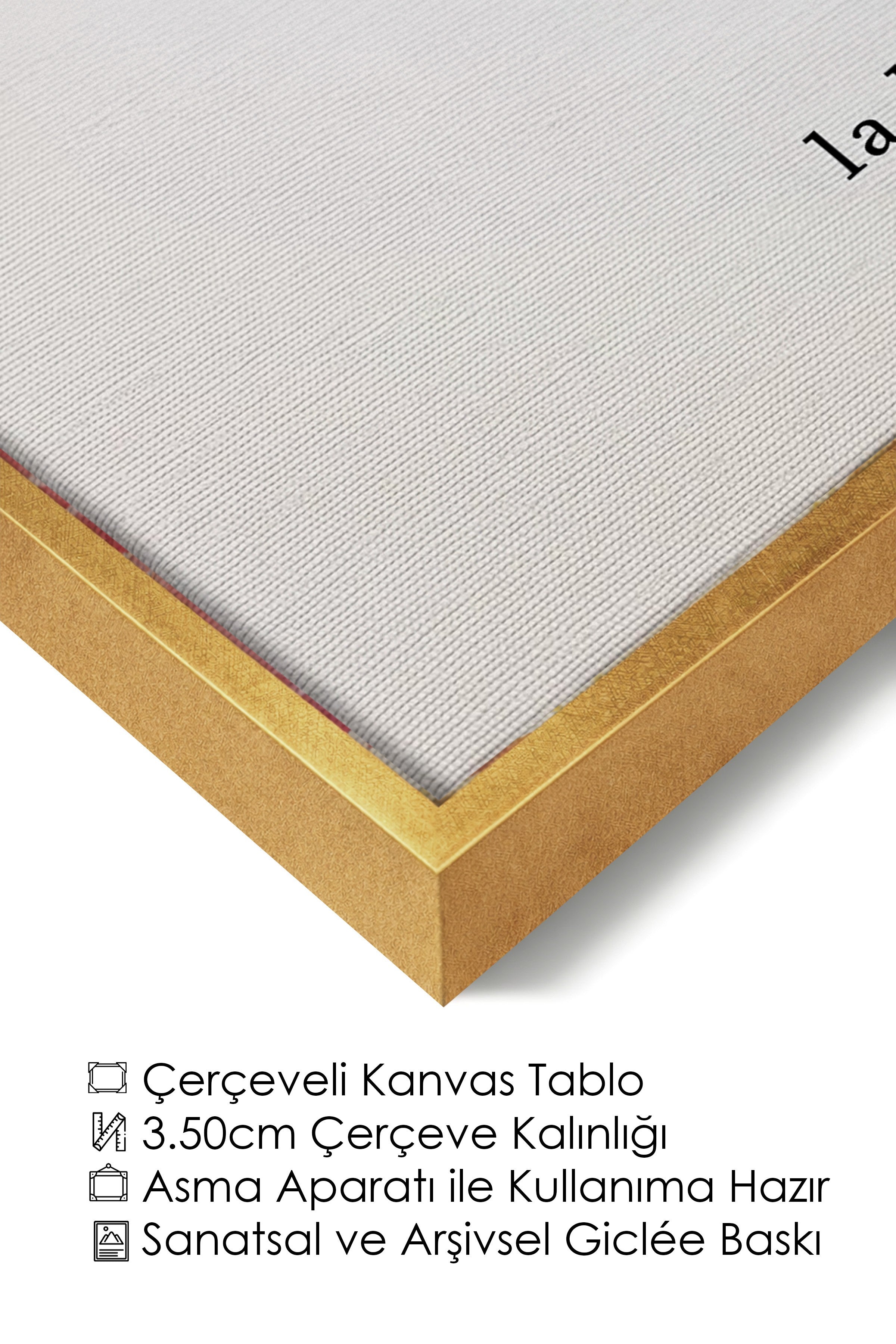 Duvar Tablosu, Lüks Gold Çerçeveli Kanvas Tablo, Ritüel Serisi, Kuş Tablo, NO:115227