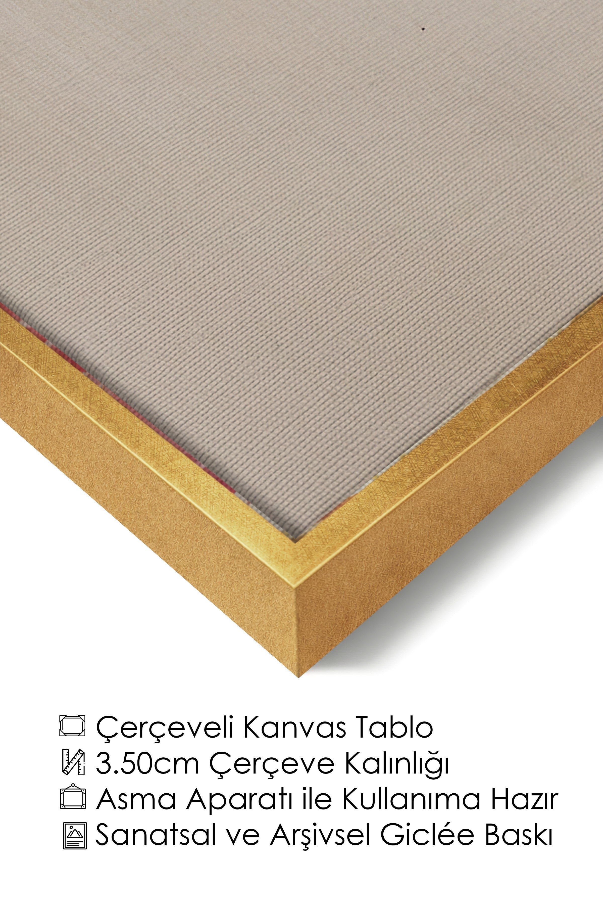 Duvar Tablosu, Lüks Gold Çerçeveli Kanvas Tablo, Ritüel Serisi, Kuş Tablo, NO:115231
