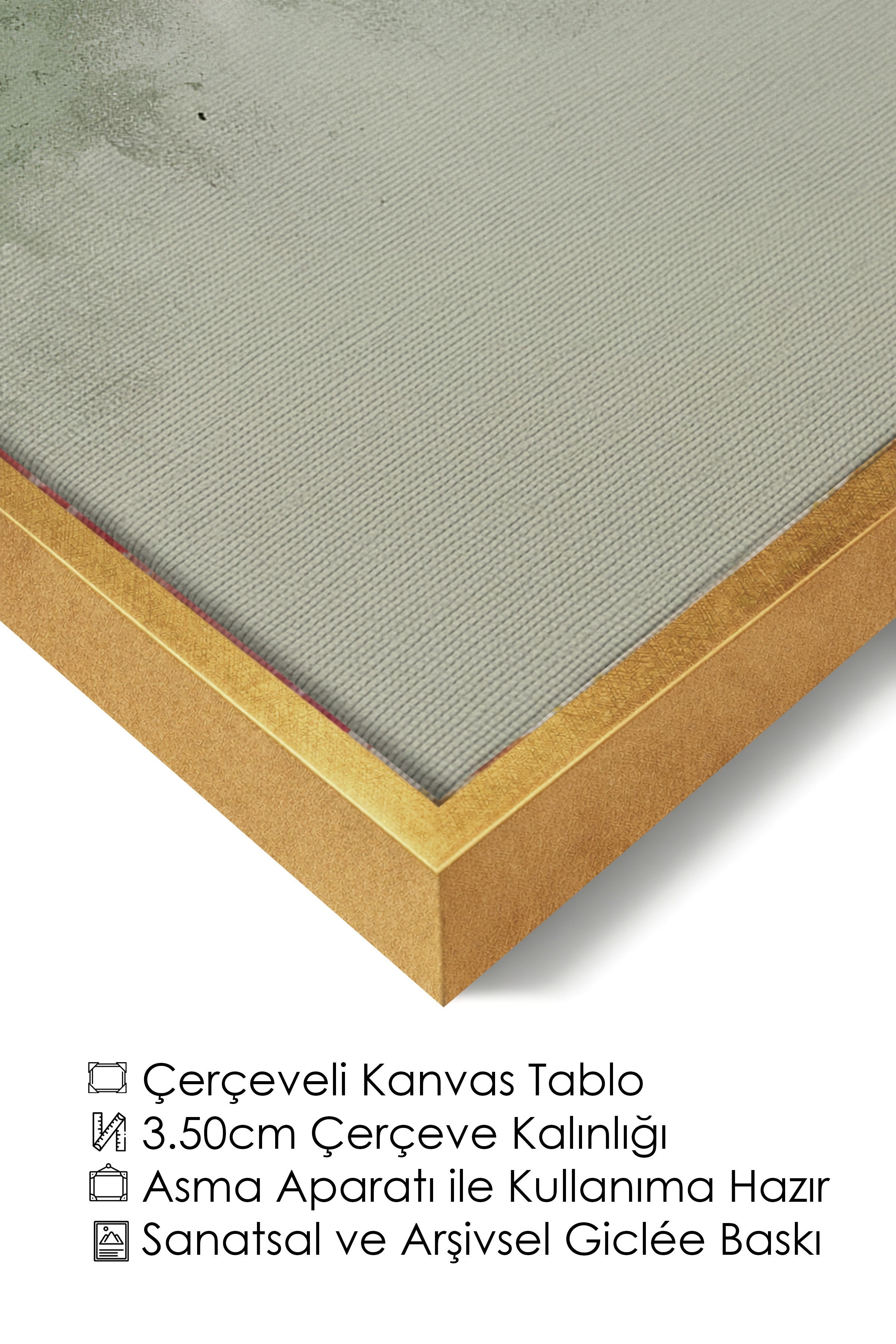 Duvar Tablosu, Lüks Gold Çerçeveli Kanvas Tablo, Ritüel Serisi, Kuş Tablo, NO:115236