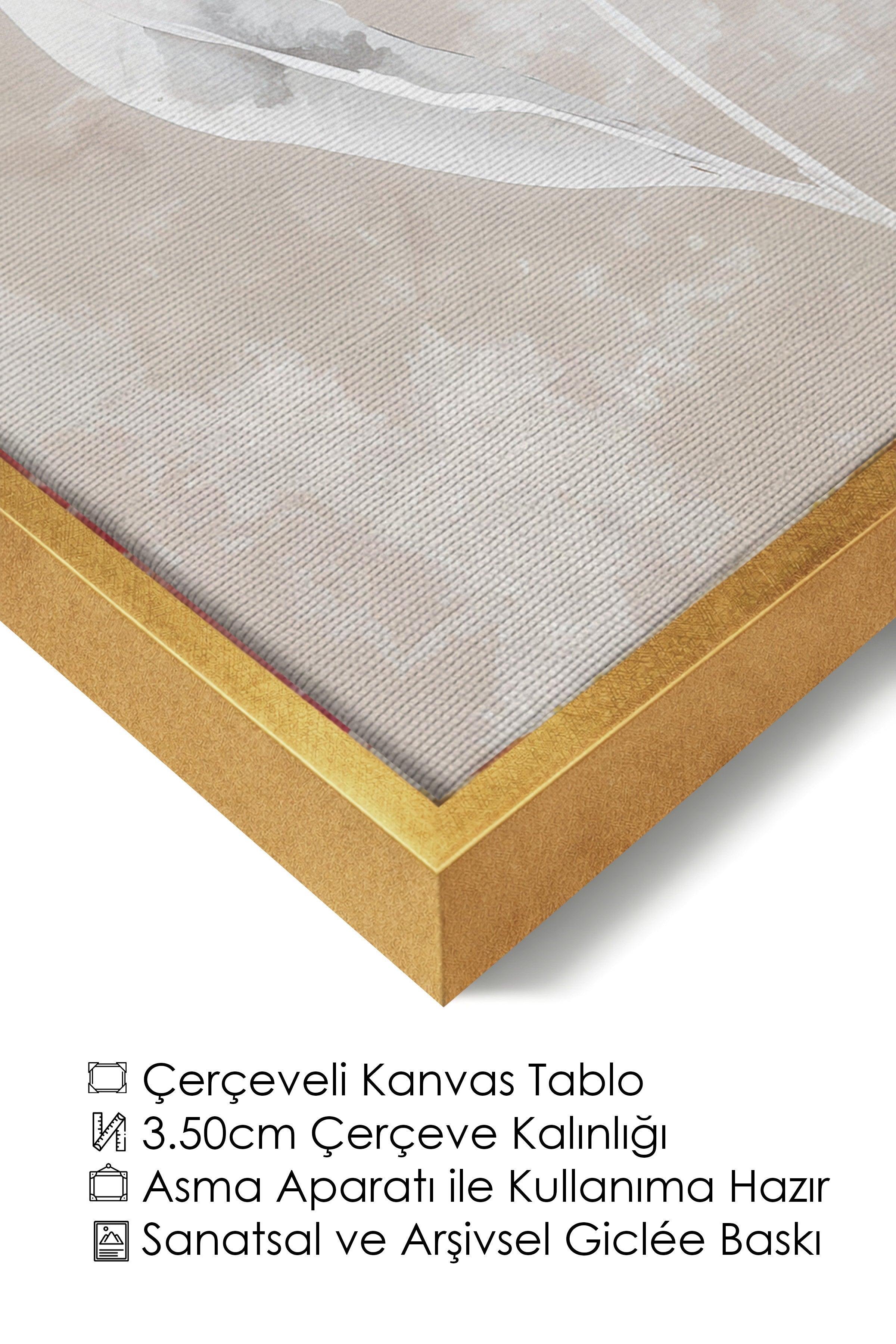 Duvar Tablosu, Lüks Gold Çerçeveli Kanvas Tablo, Ritüel Serisi, Kuş Tablo, NO:115241