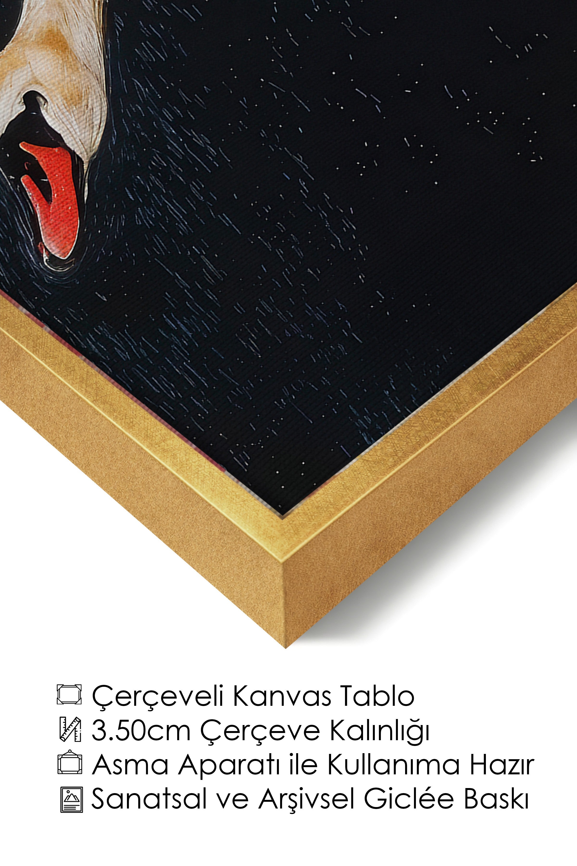 Duvar Tablosu, Lüks Gold Çerçeveli Kanvas Tablo, Ritüel Serisi, Kuş Tablo, NO:115246