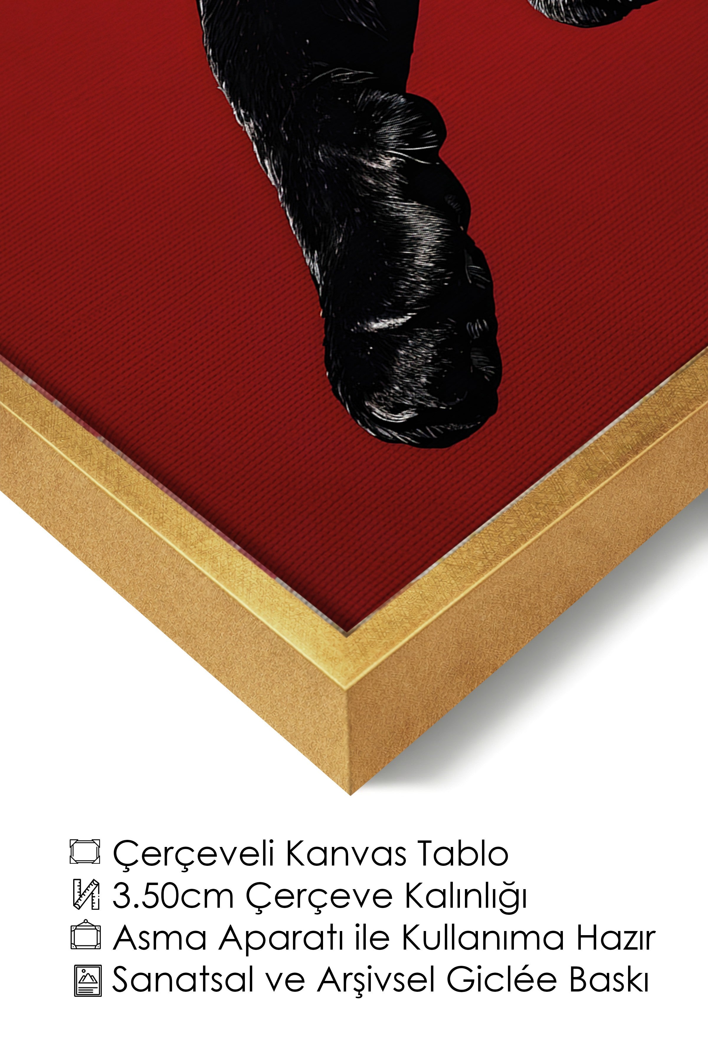 Duvar Tablosu, Lüks Gold Çerçeveli Kanvas Tablo, Ritüel Serisi, Leopar Tablo, NO:115261