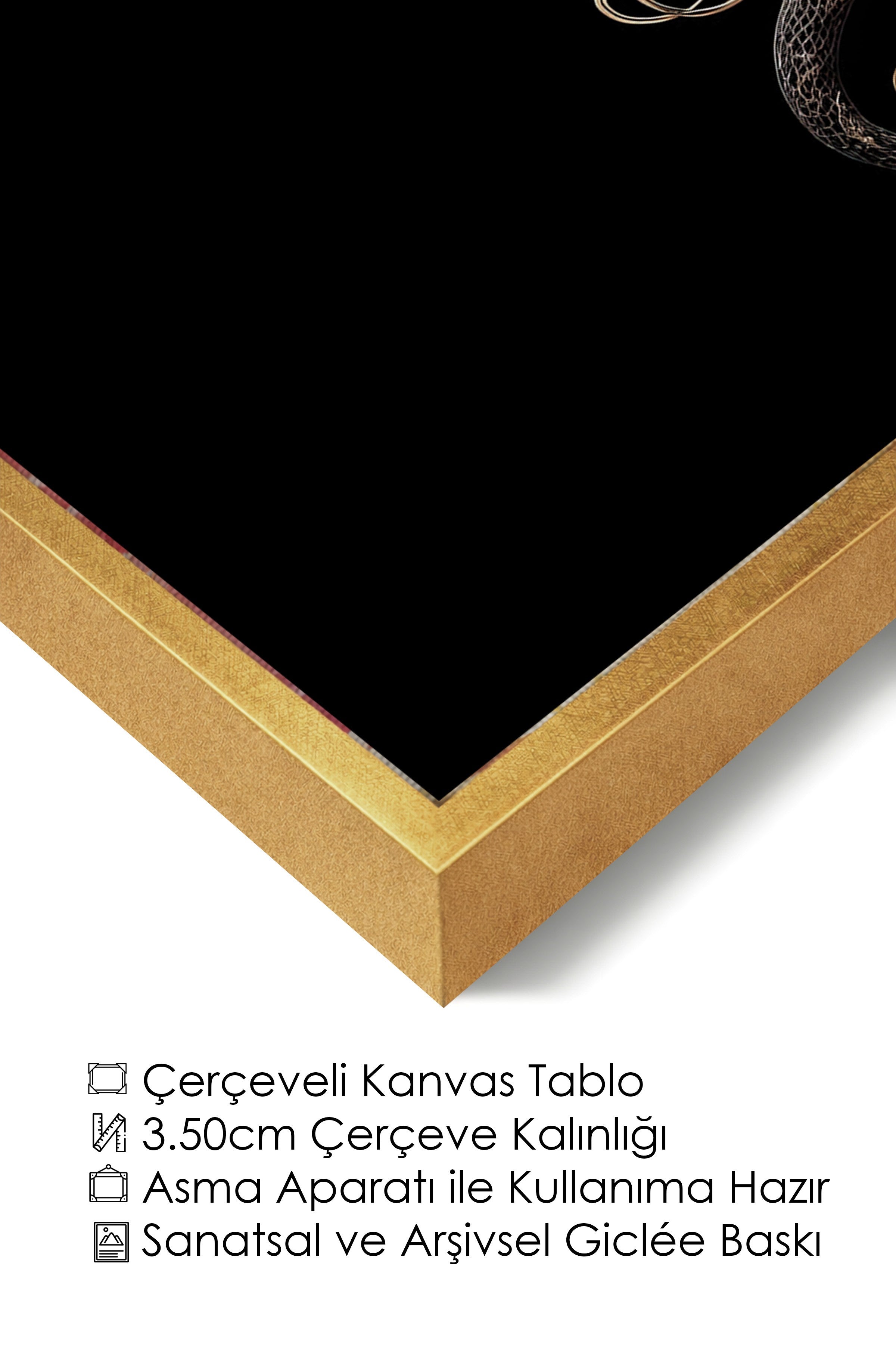 Duvar Tablosu, Lüks Gold Çerçeveli Kanvas Tablo, Ritüel Serisi, Yılan Tablo, NO:115259