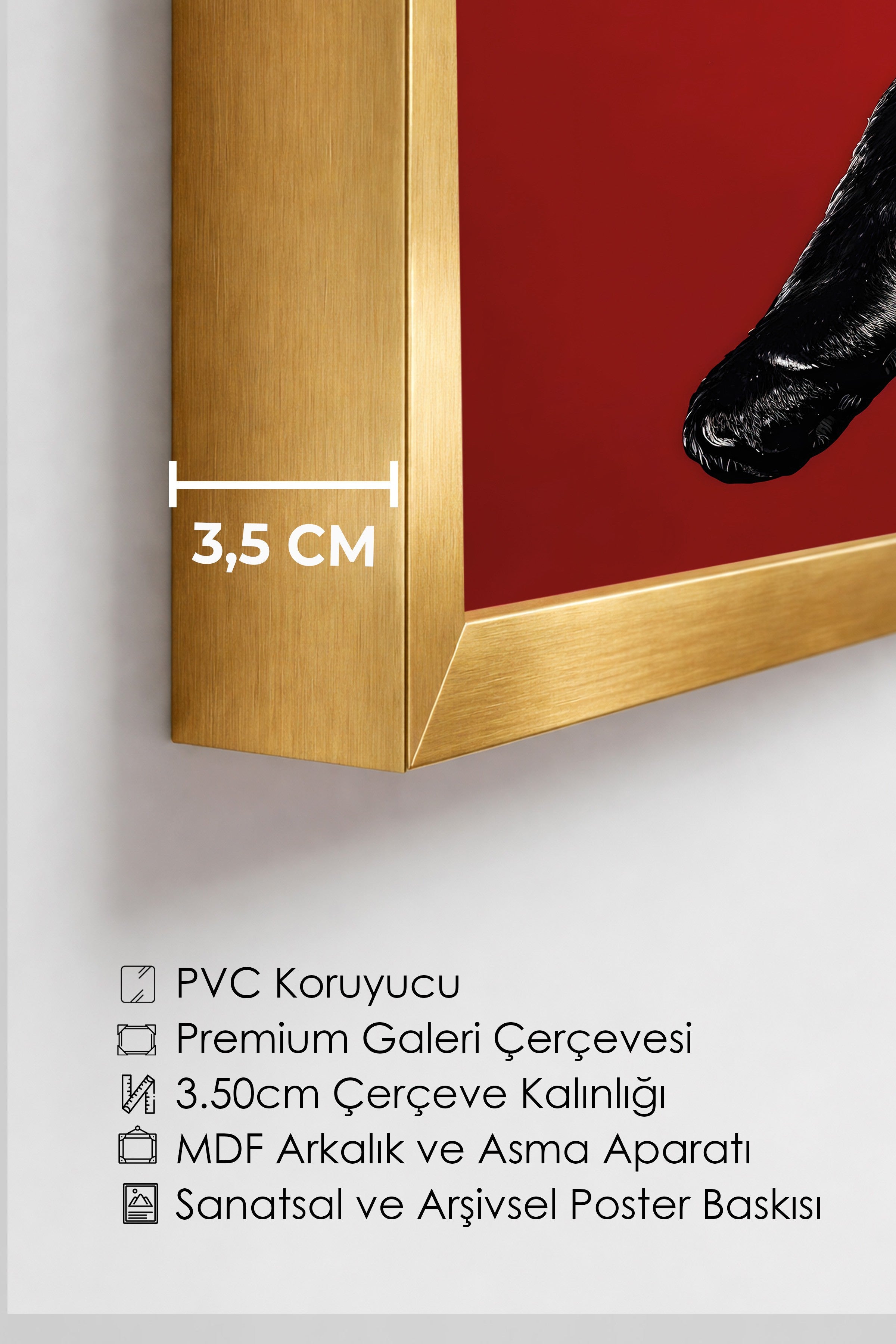 Duvar Tablosu, Lüks Gold Çerçeveli Tablo ve Poster, Ritüel Serisi, Leopar Tablo, NO:115261