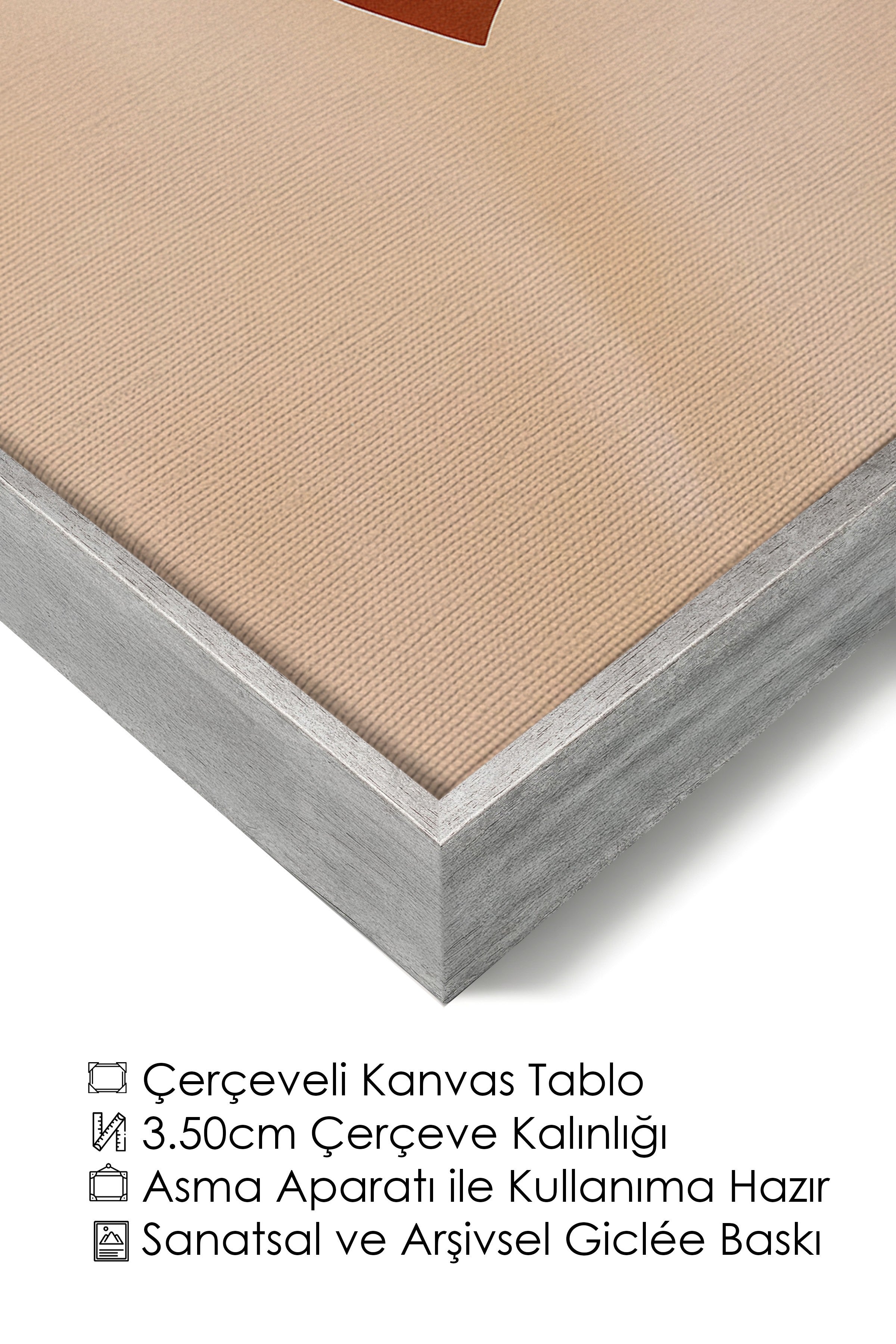 Duvar Tablosu, Lüks Gümüş Çerçeveli Kanvas Tablo, Ritüel Serisi, Kuş Tablo, NO:115188