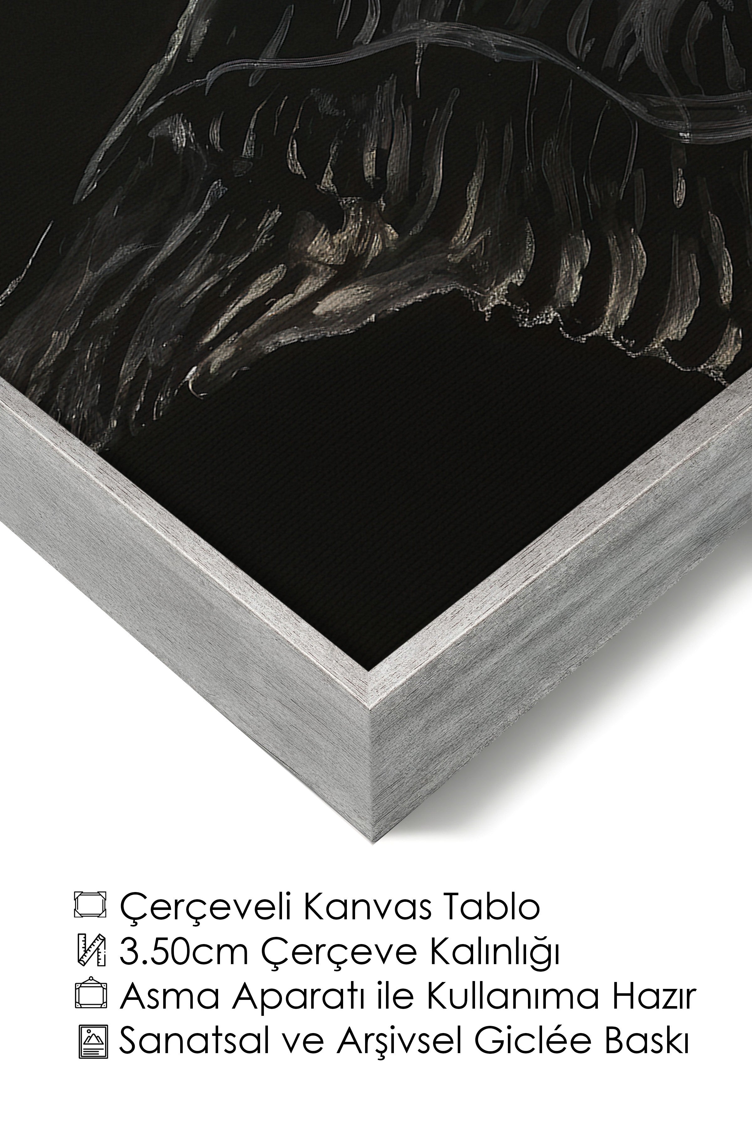 Duvar Tablosu, Lüks Gümüş Çerçeveli Kanvas Tablo, Ritüel Serisi, Kuş Tablo, NO:115199