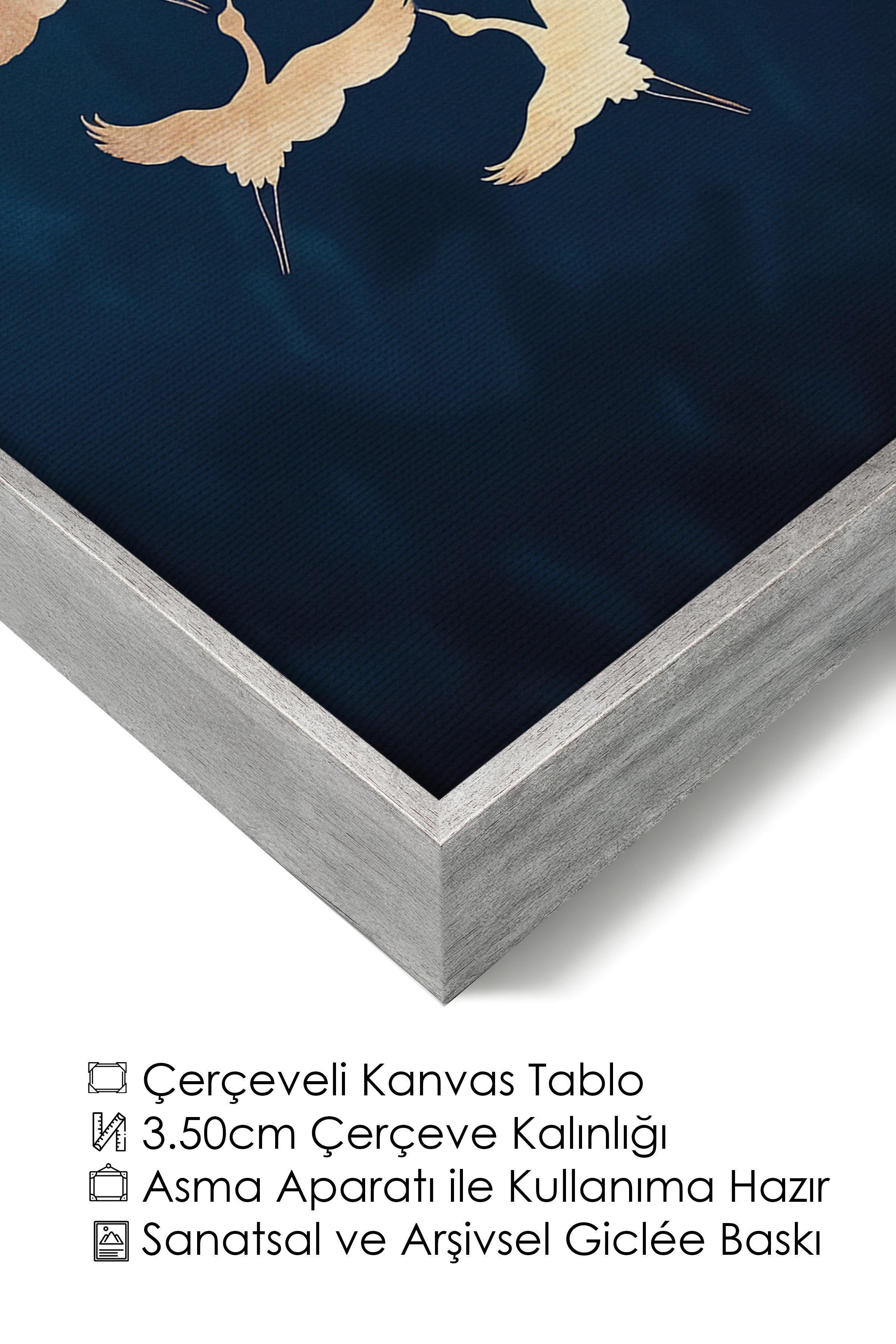 Duvar Tablosu, Lüks Gümüş Çerçeveli Kanvas Tablo, Ritüel Serisi, Kuş Tablo, NO:115200