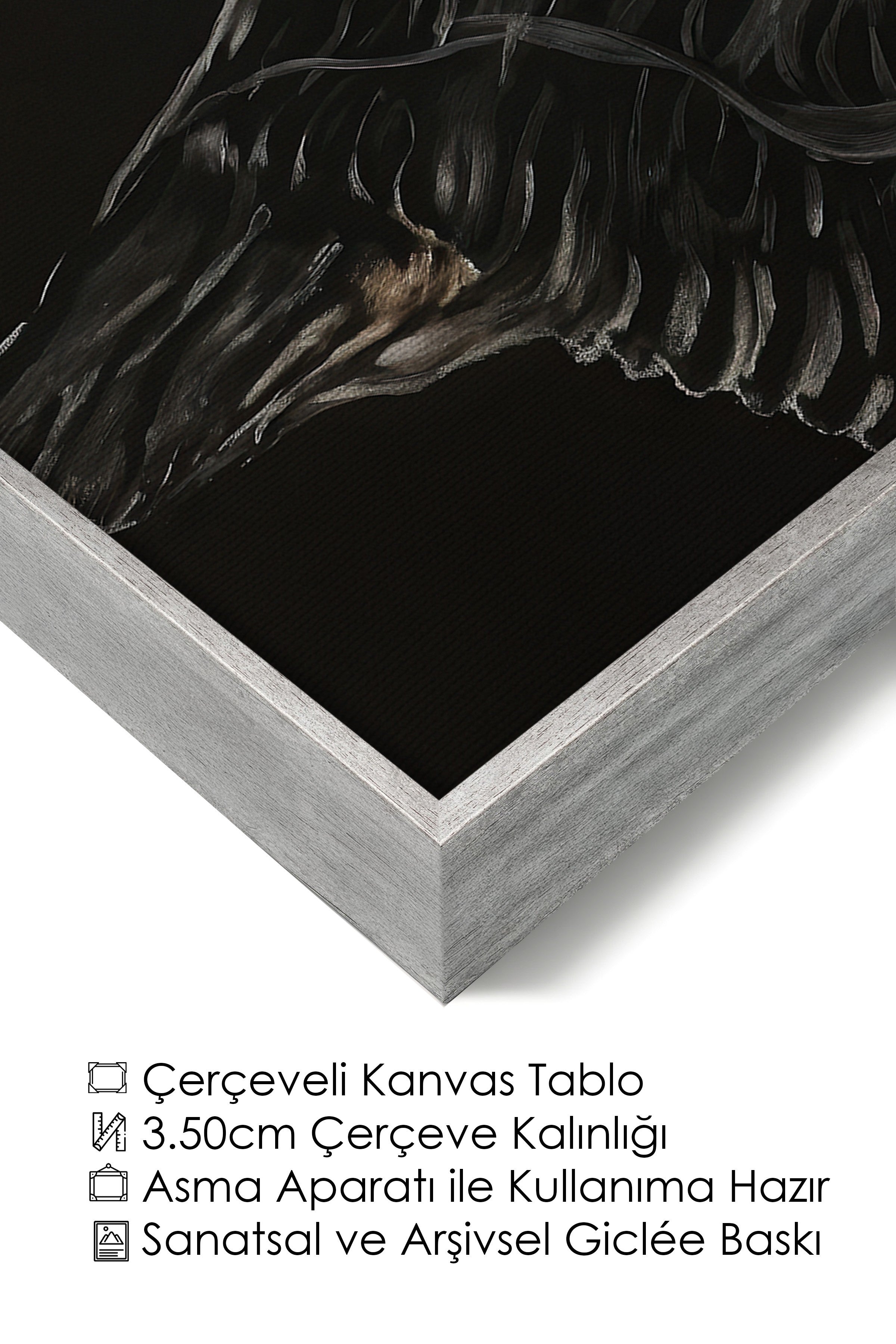 Duvar Tablosu, Lüks Gümüş Çerçeveli Kanvas Tablo, Ritüel Serisi, Kuş Tablo, NO:115202