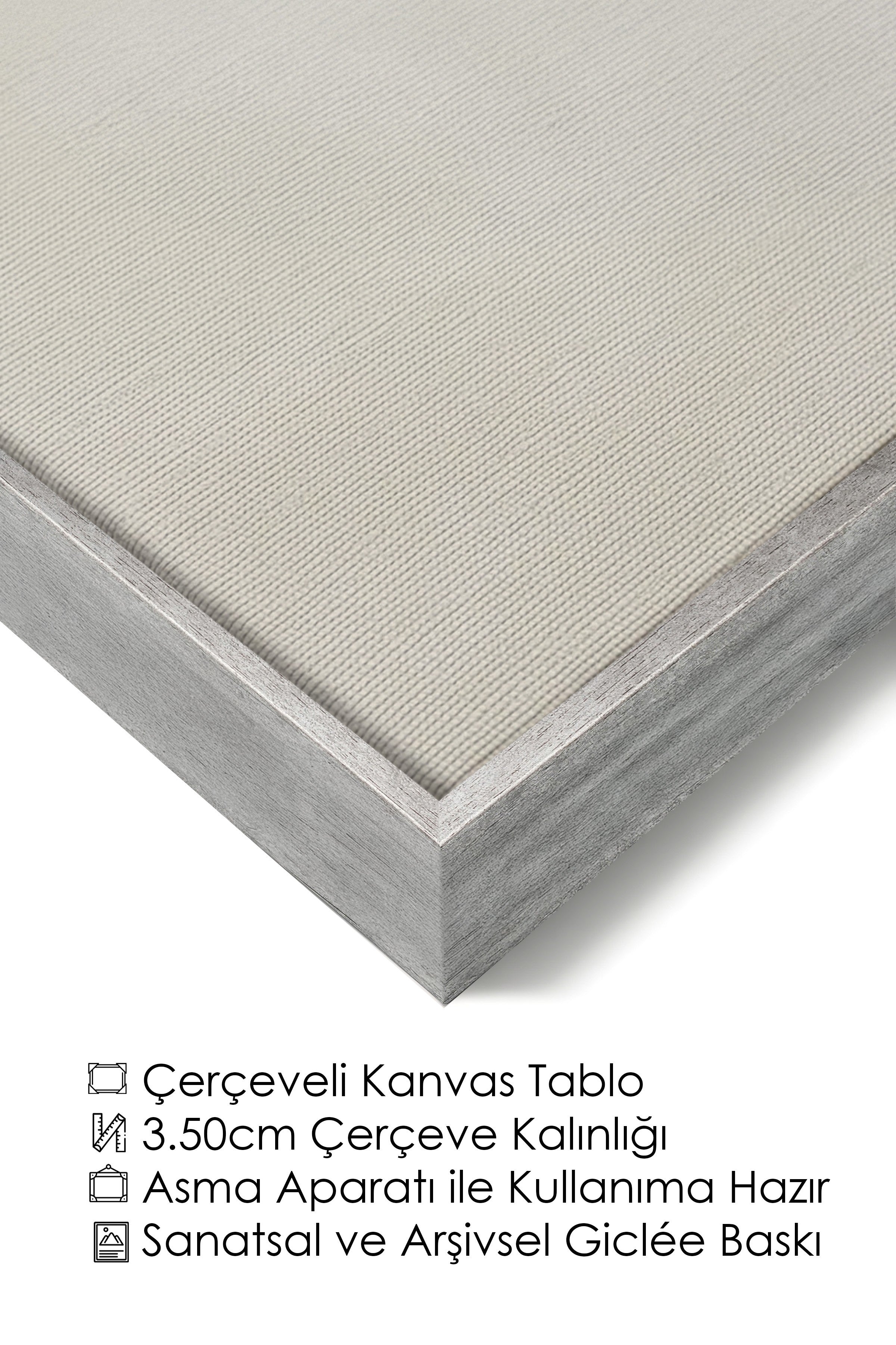 Duvar Tablosu, Lüks Gümüş Çerçeveli Kanvas Tablo, Ritüel Serisi, Kuş Tablo, NO:115204
