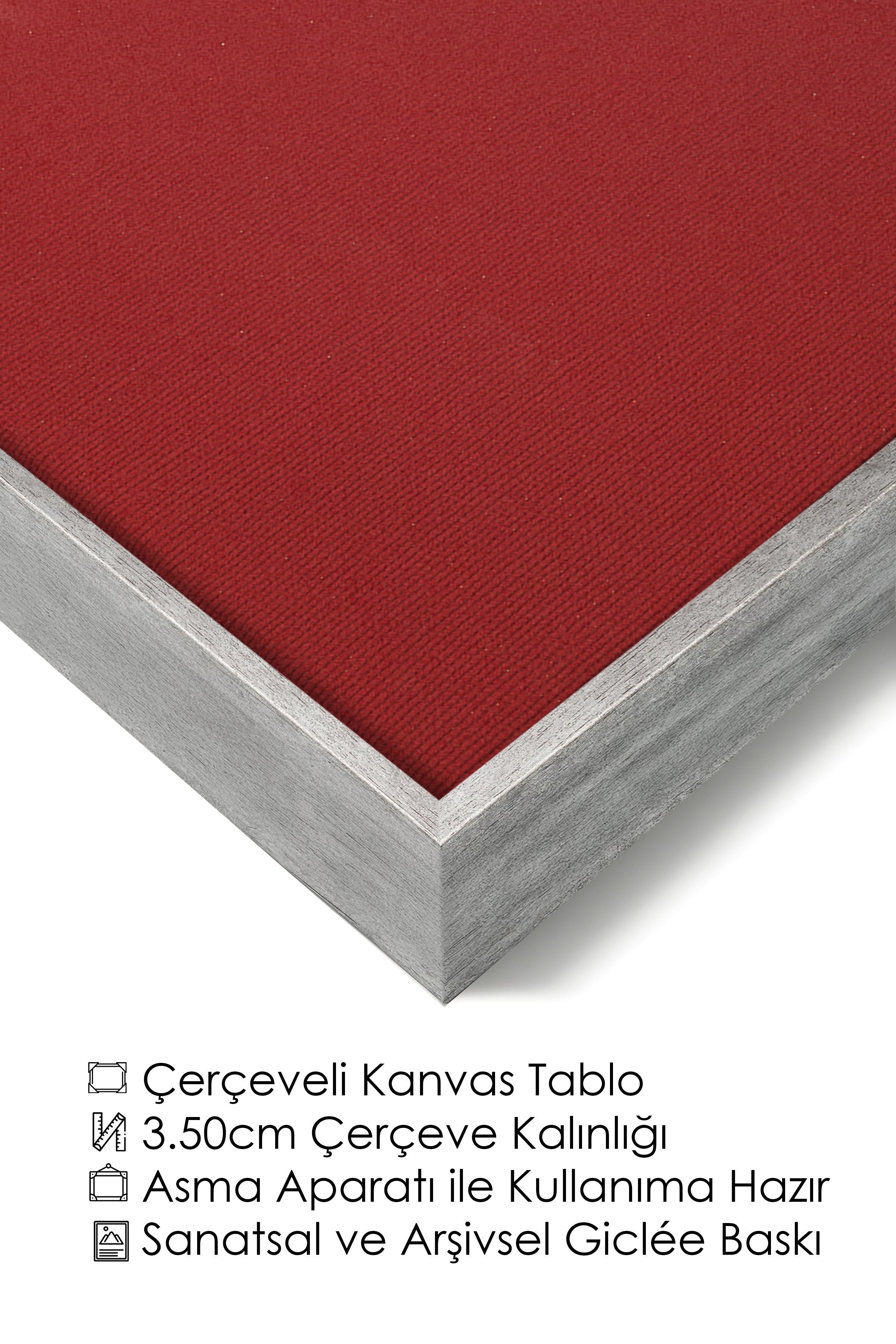 Duvar Tablosu, Lüks Gümüş Çerçeveli Kanvas Tablo, Ritüel Serisi, Kuş Tablo, NO:115209