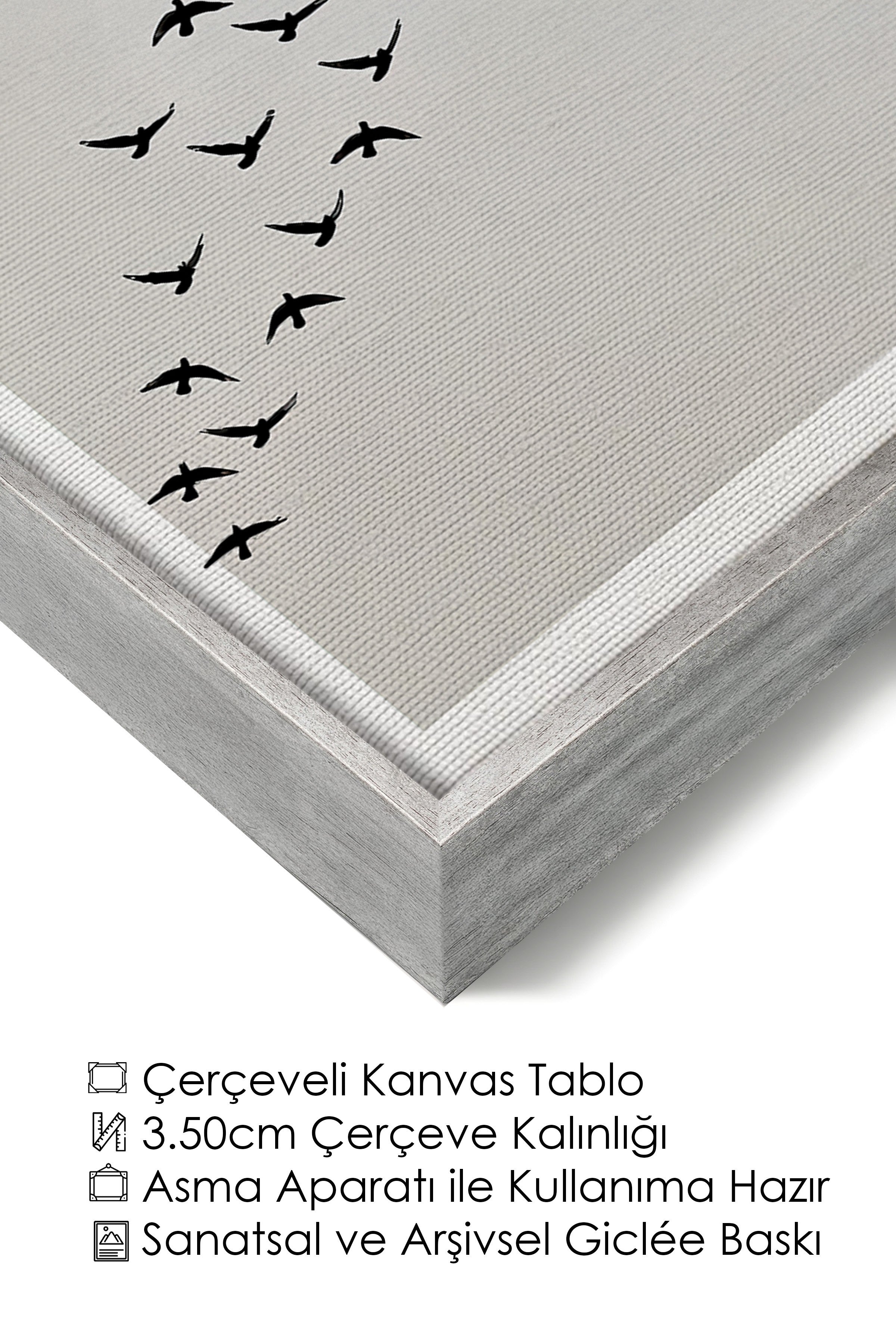Duvar Tablosu, Lüks Gümüş Çerçeveli Kanvas Tablo, Ritüel Serisi, Kuş Tablo, NO:115210