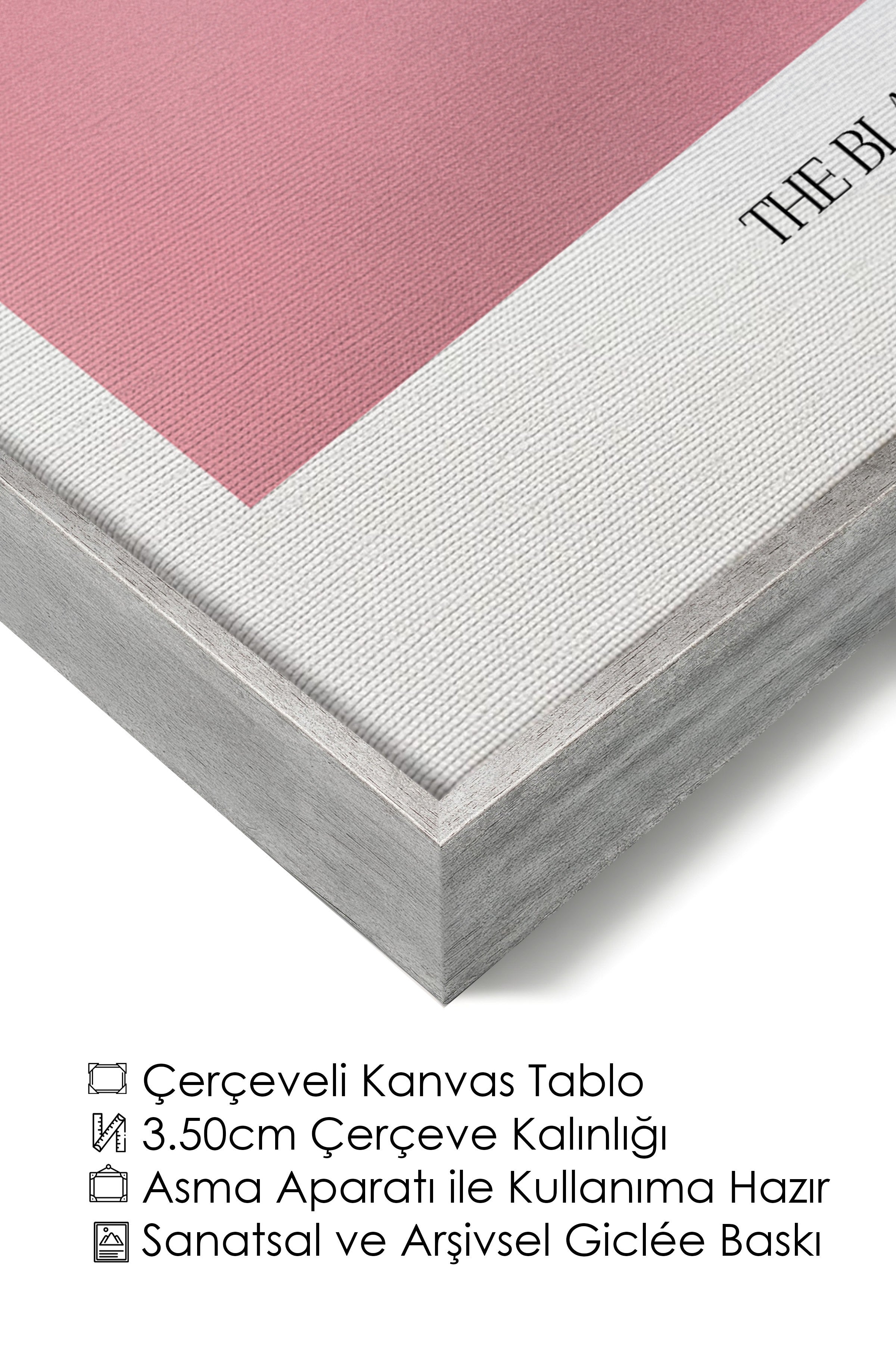 Duvar Tablosu, Lüks Gümüş Çerçeveli Kanvas Tablo, Ritüel Serisi, Kuş Tablo, NO:115214