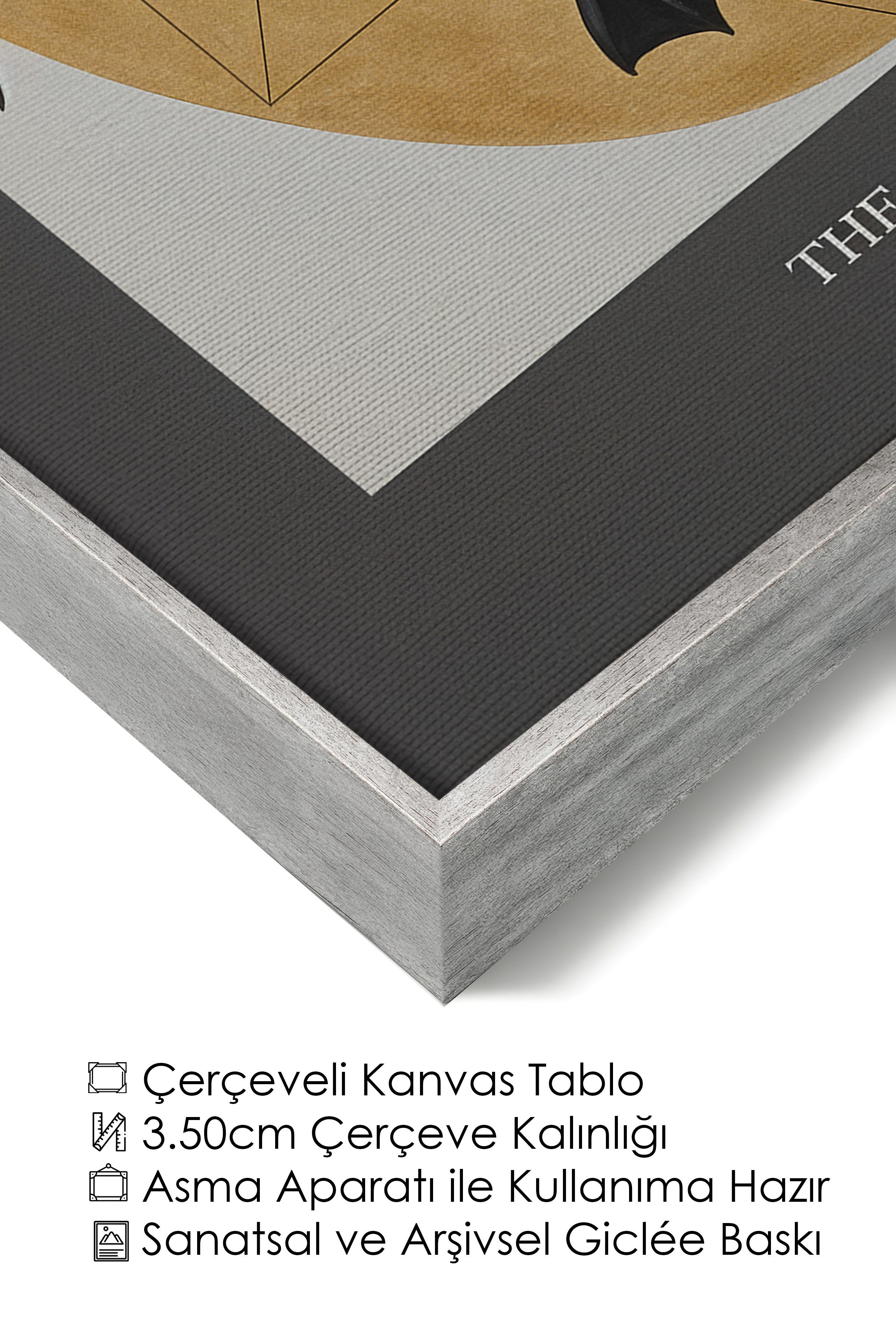 Duvar Tablosu, Lüks Gümüş Çerçeveli Kanvas Tablo, Ritüel Serisi, Kuş Tablo, NO:115216