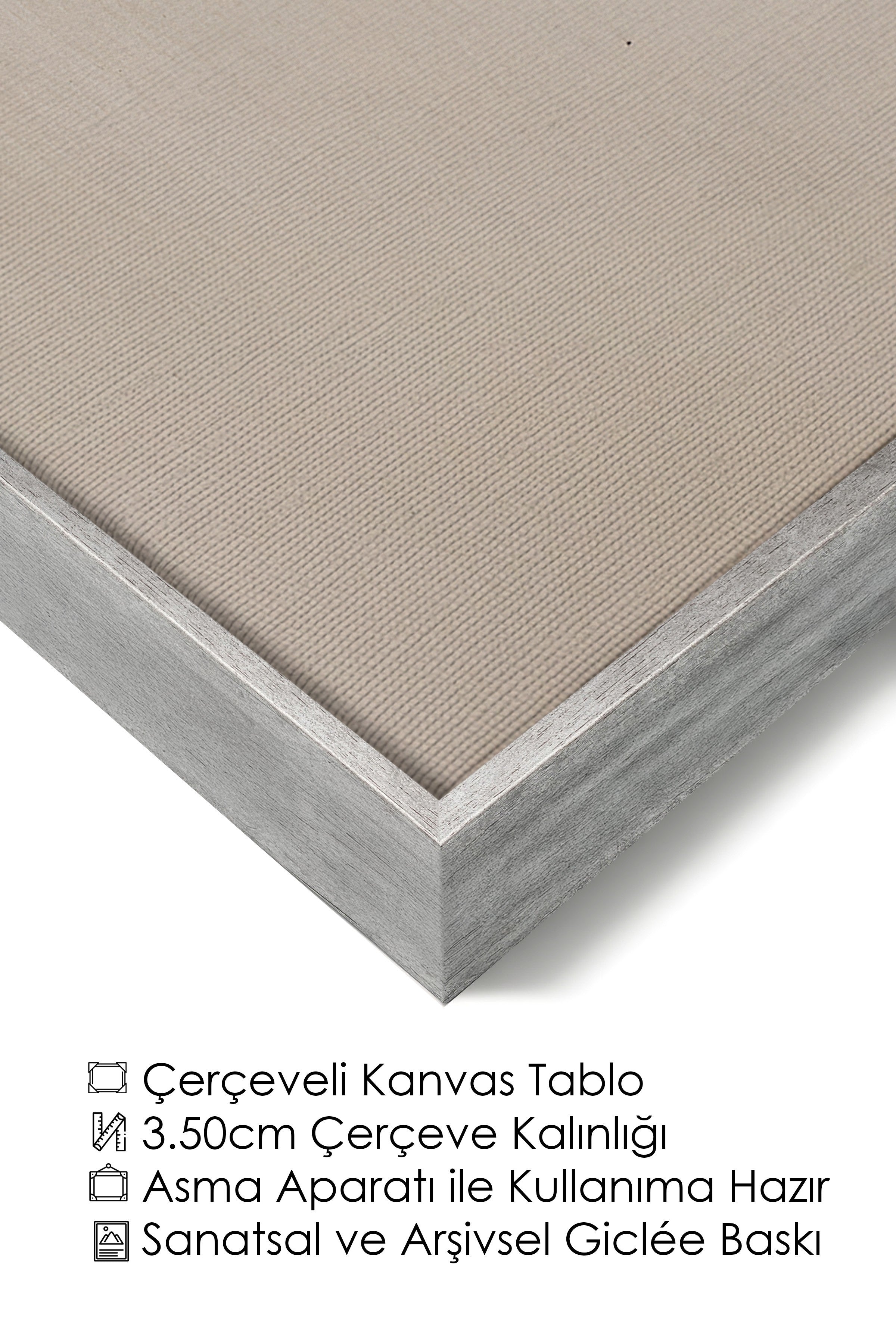 Duvar Tablosu, Lüks Gümüş Çerçeveli Kanvas Tablo, Ritüel Serisi, Kuş Tablo, NO:115231