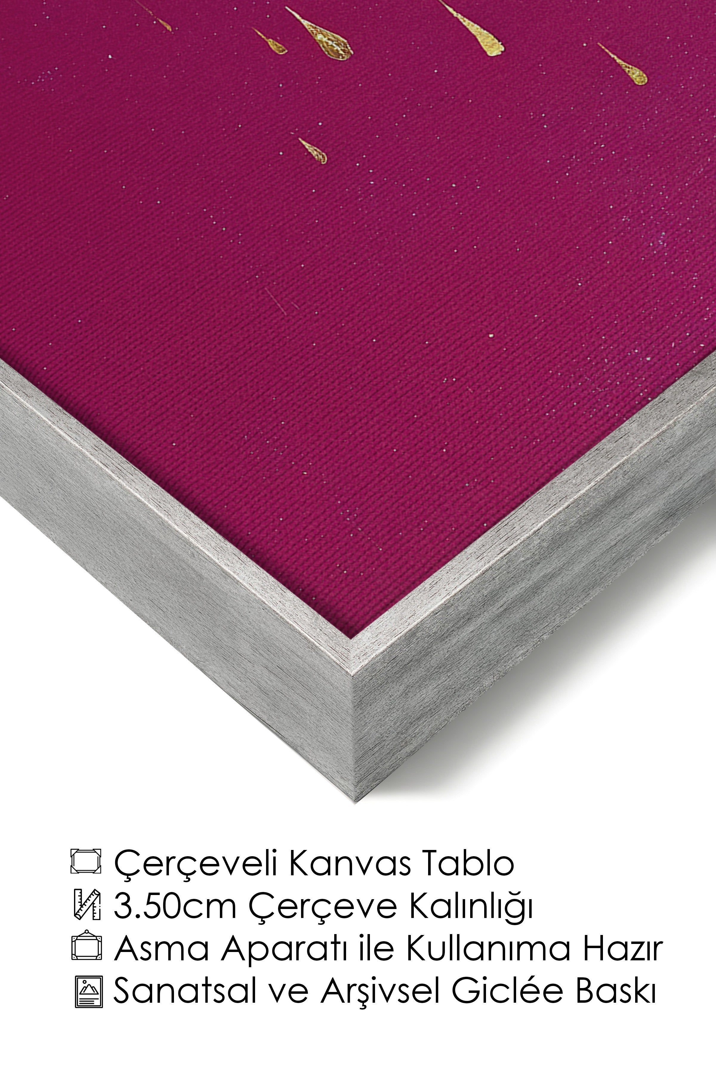 Duvar Tablosu, Lüks Gümüş Çerçeveli Kanvas Tablo, Ritüel Serisi, Kuş Tablo, NO:115233