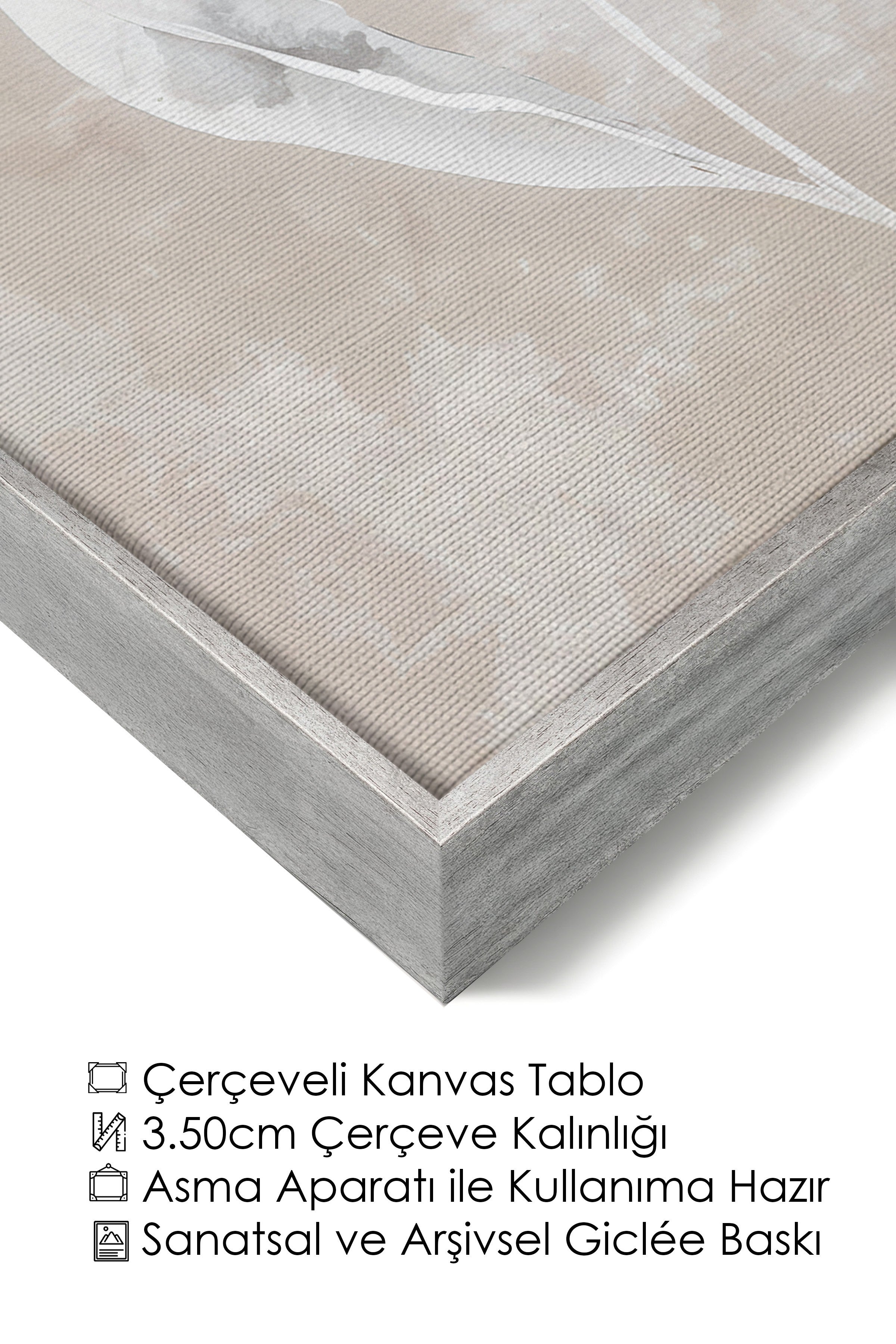 Duvar Tablosu, Lüks Gümüş Çerçeveli Kanvas Tablo, Ritüel Serisi, Kuş Tablo, NO:115241