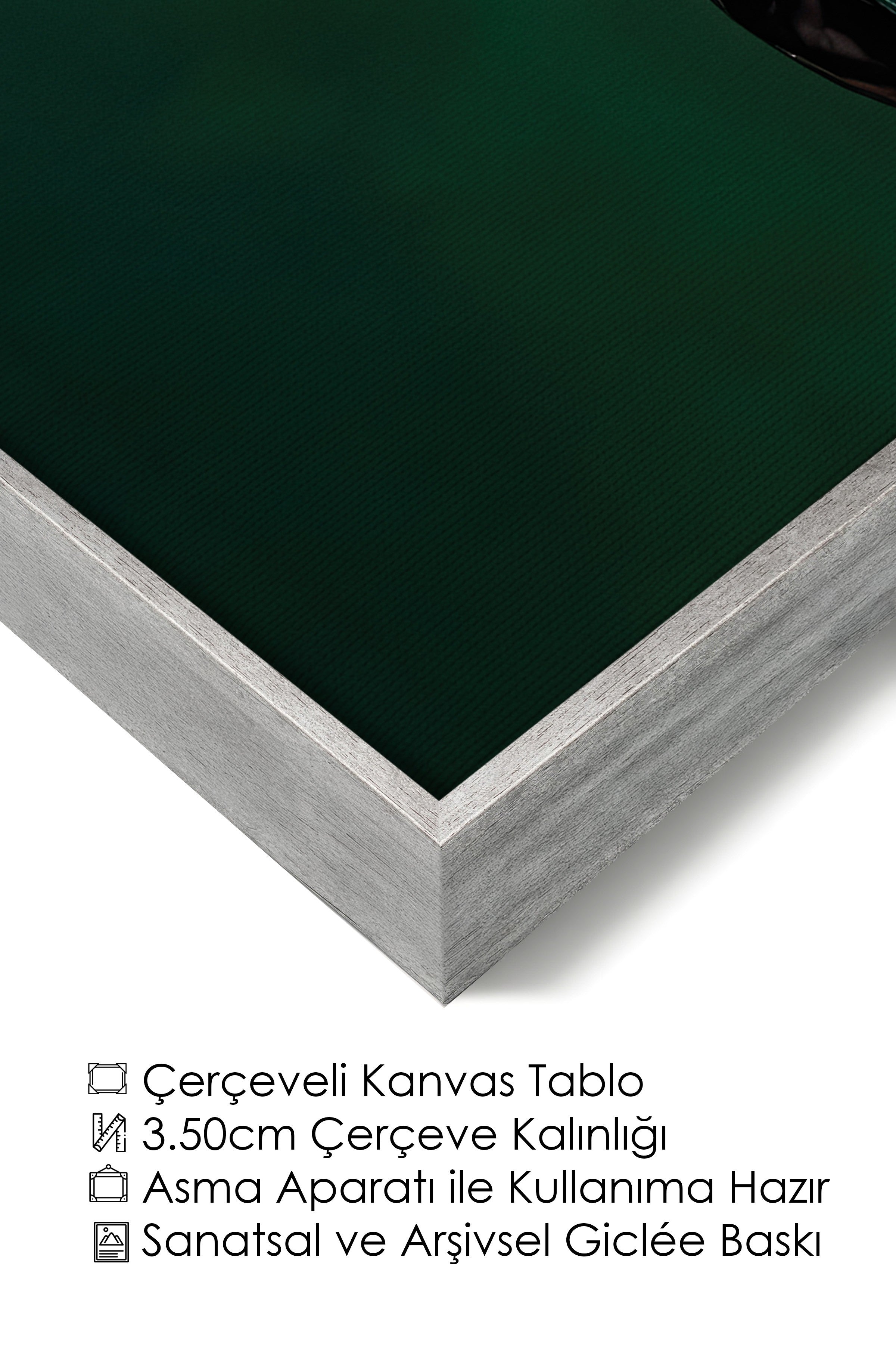 Duvar Tablosu, Lüks Gümüş Çerçeveli Kanvas Tablo, Ritüel Serisi, Kuş Tablo, NO:115245