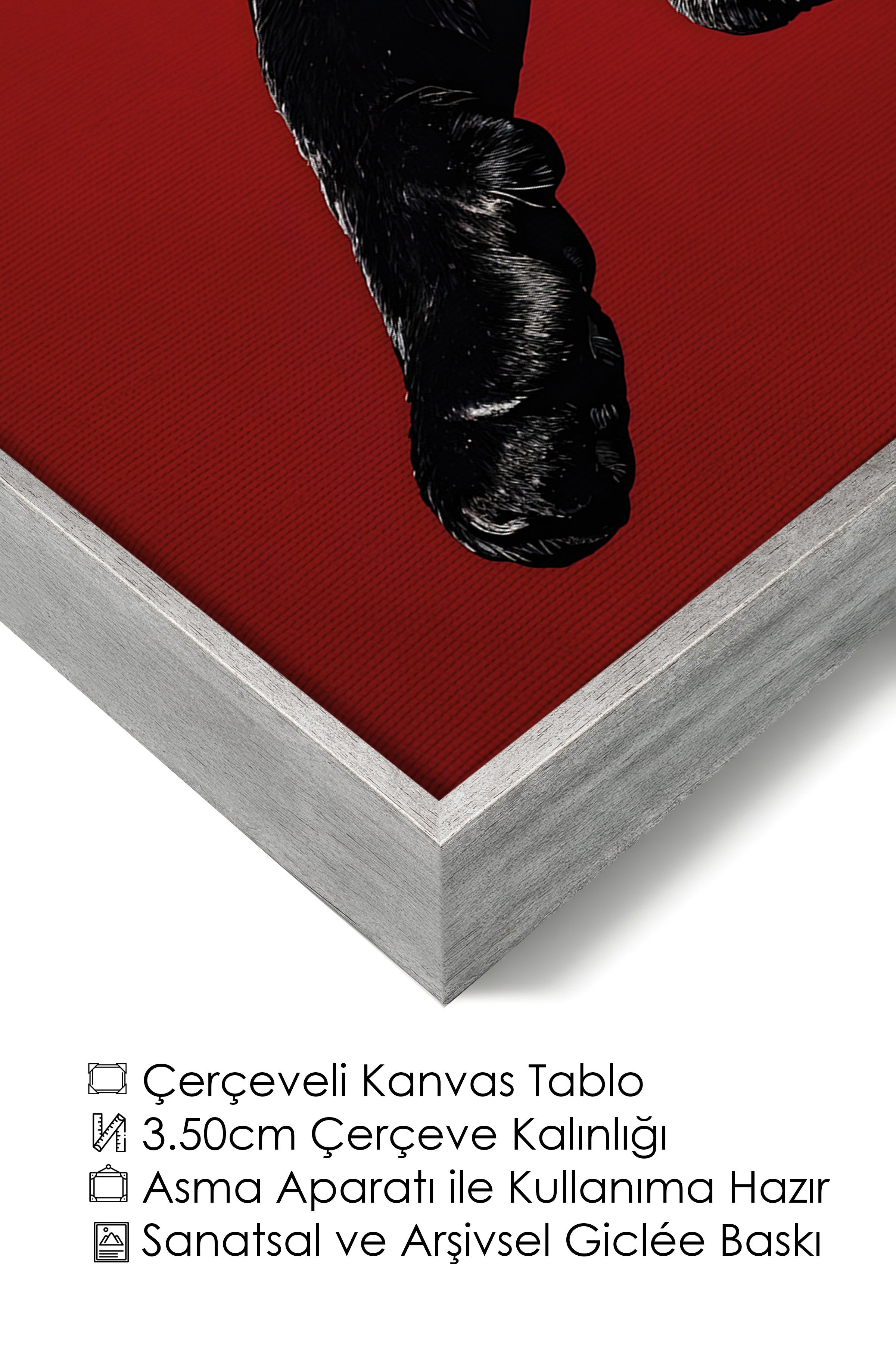 Duvar Tablosu, Lüks Gümüş Çerçeveli Kanvas Tablo, Ritüel Serisi, Leopar Tablo, NO:115261