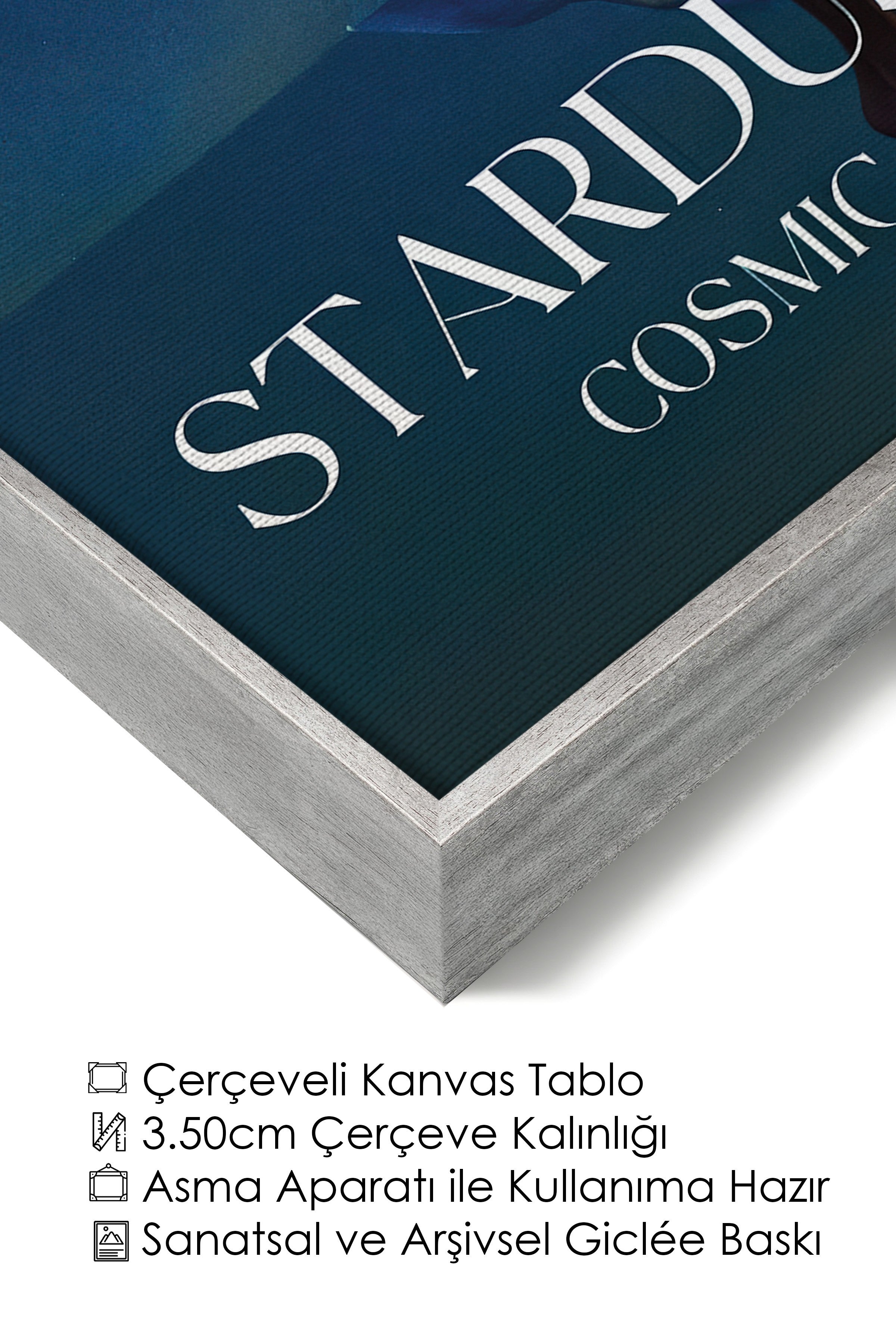 Duvar Tablosu, Lüks Gümüş Çerçeveli Kanvas Tablo, Ritüel Serisi, NO:115215