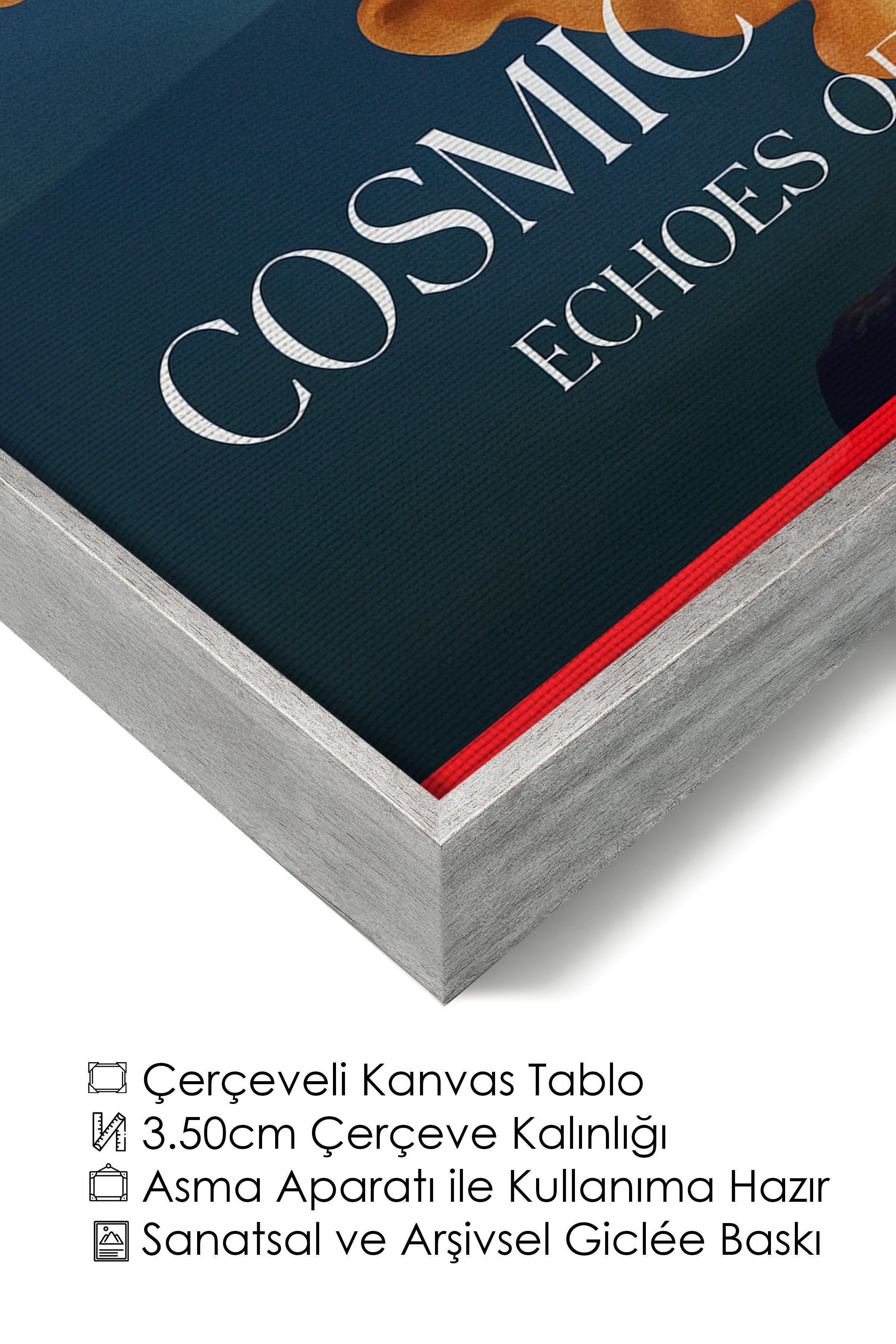 Duvar Tablosu, Lüks Gümüş Çerçeveli Kanvas Tablo, Ritüel Serisi, NO:115229