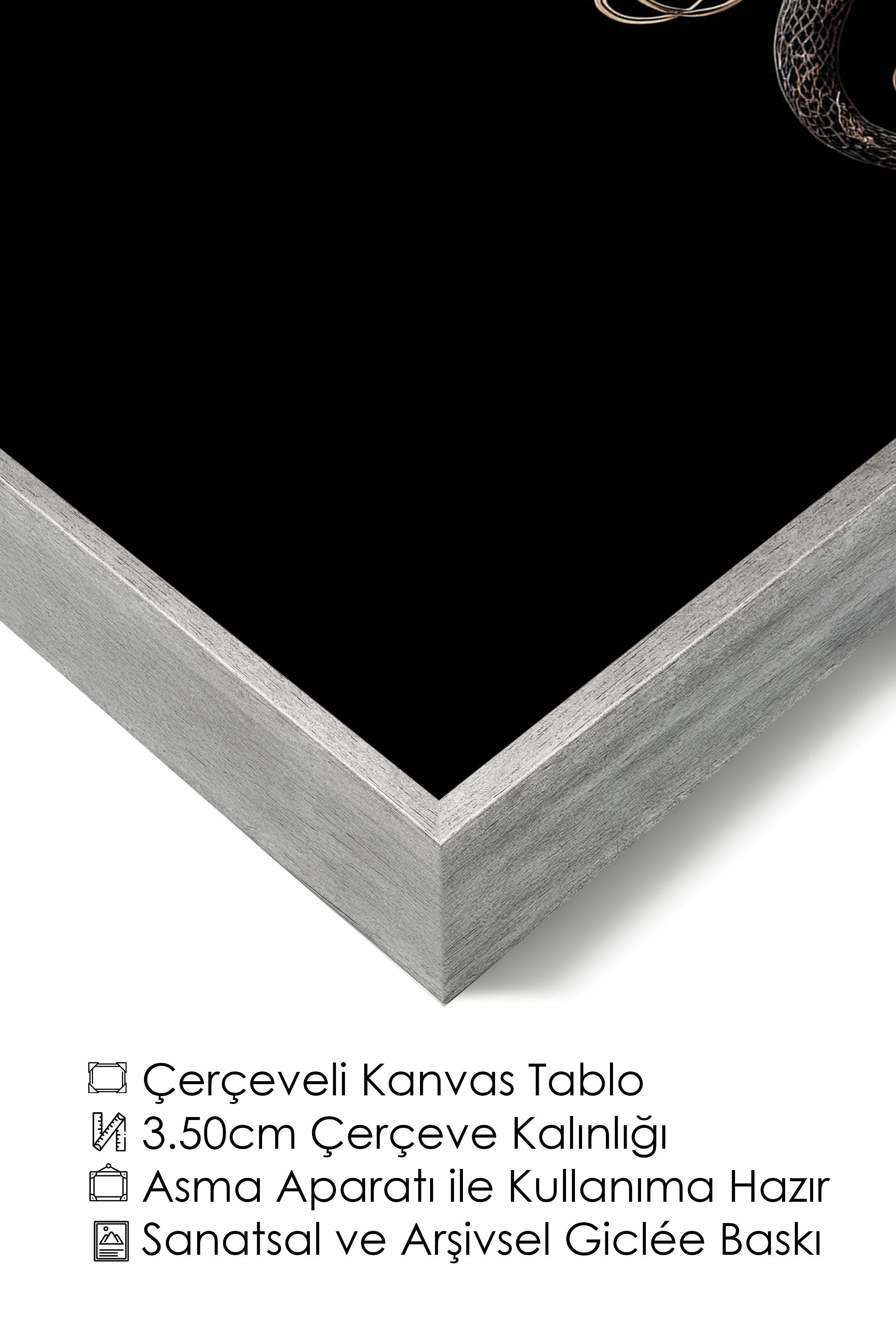 Duvar Tablosu, Lüks Gümüş Çerçeveli Kanvas Tablo, Ritüel Serisi, Yılan Tablo, NO:115259