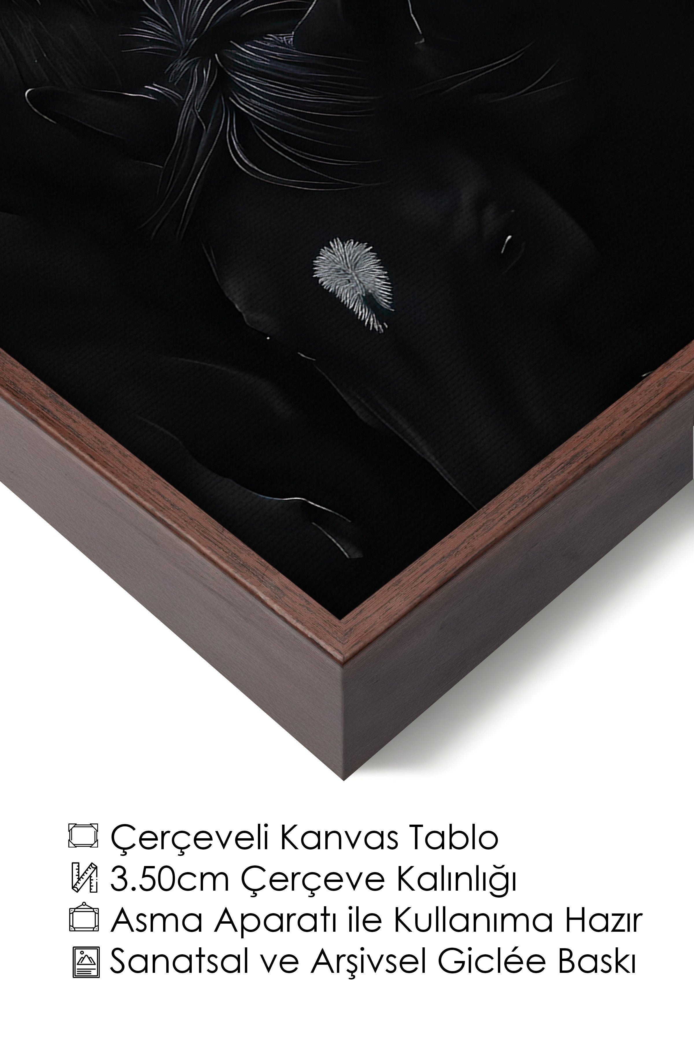 Duvar Tablosu, Lüks Kahverengi Çerçeveli Kanvas Tablo, Ritüel Serisi, At Tablo, NO:115190