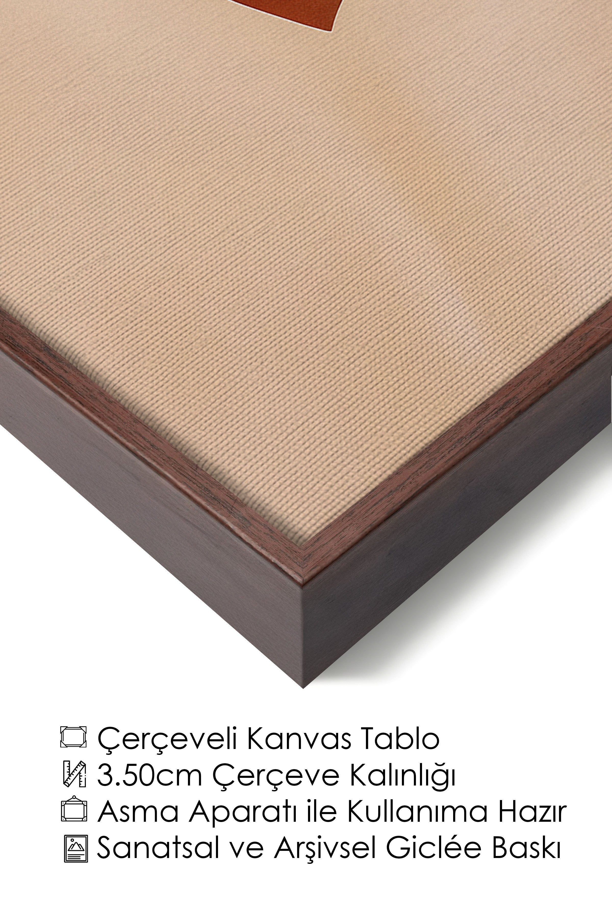 Duvar Tablosu, Lüks Kahverengi Çerçeveli Kanvas Tablo, Ritüel Serisi, Kuş Tablo, NO:115188