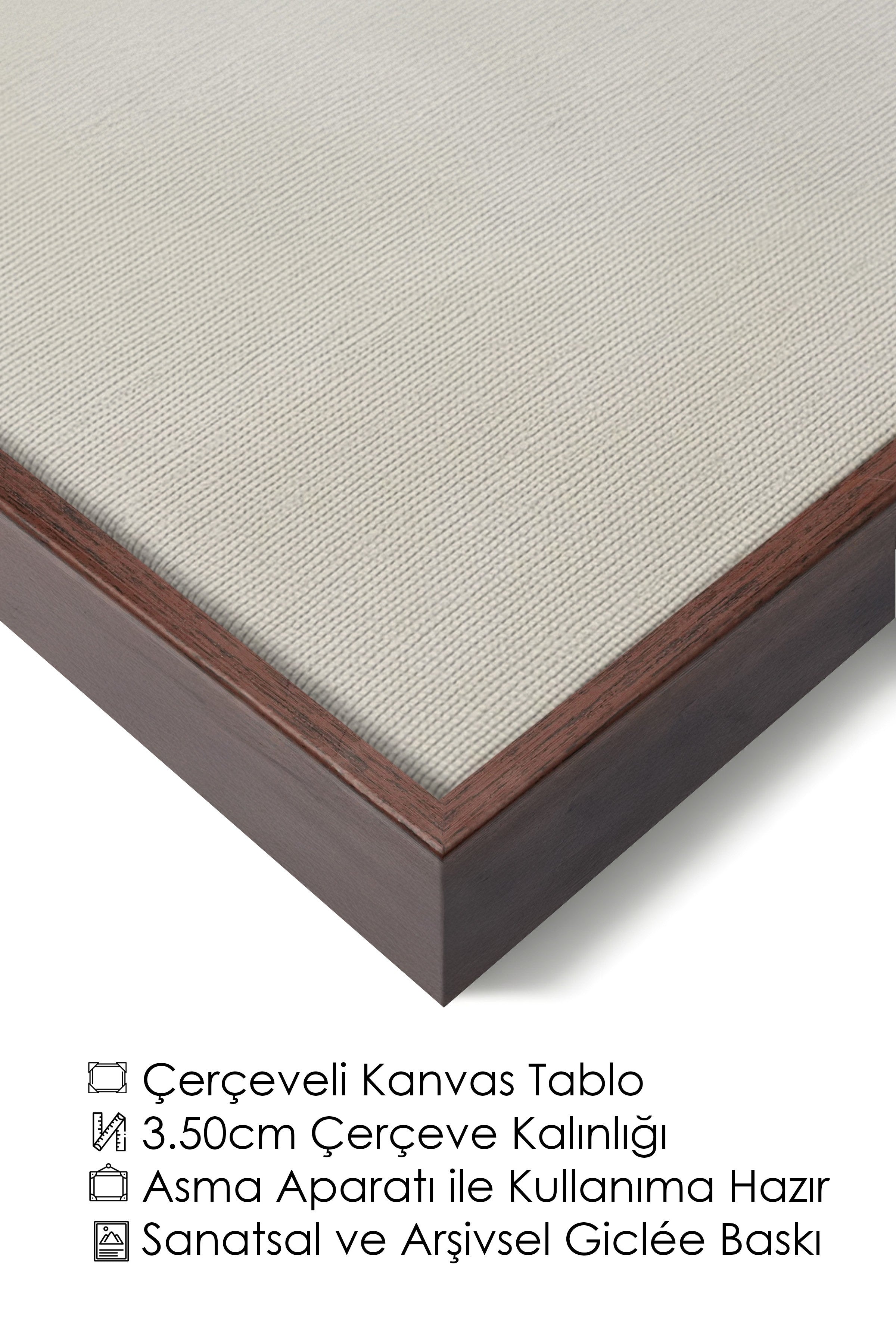 Duvar Tablosu, Lüks Kahverengi Çerçeveli Kanvas Tablo, Ritüel Serisi, Kuş Tablo, NO:115204