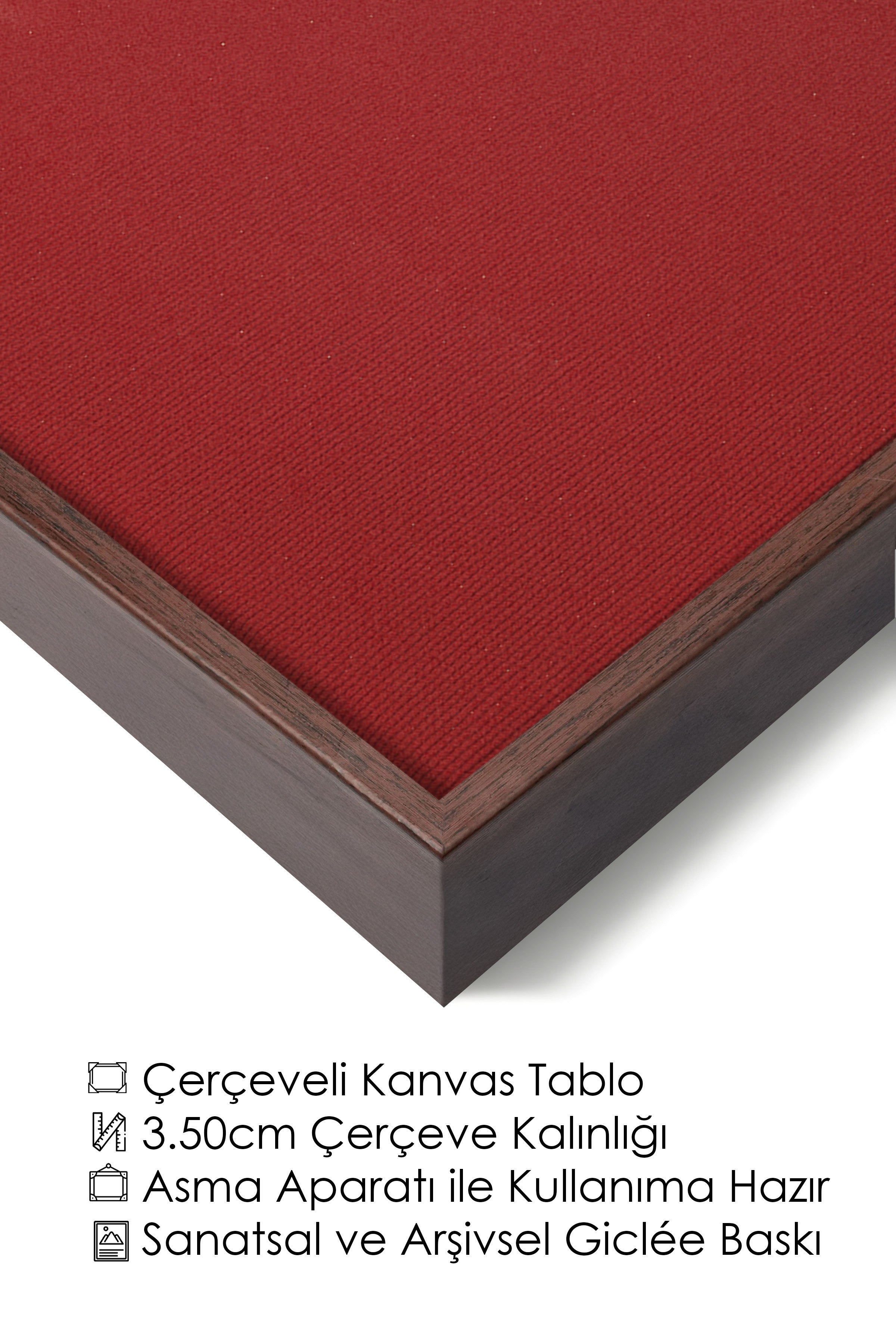 Duvar Tablosu, Lüks Kahverengi Çerçeveli Kanvas Tablo, Ritüel Serisi, Kuş Tablo, NO:115209
