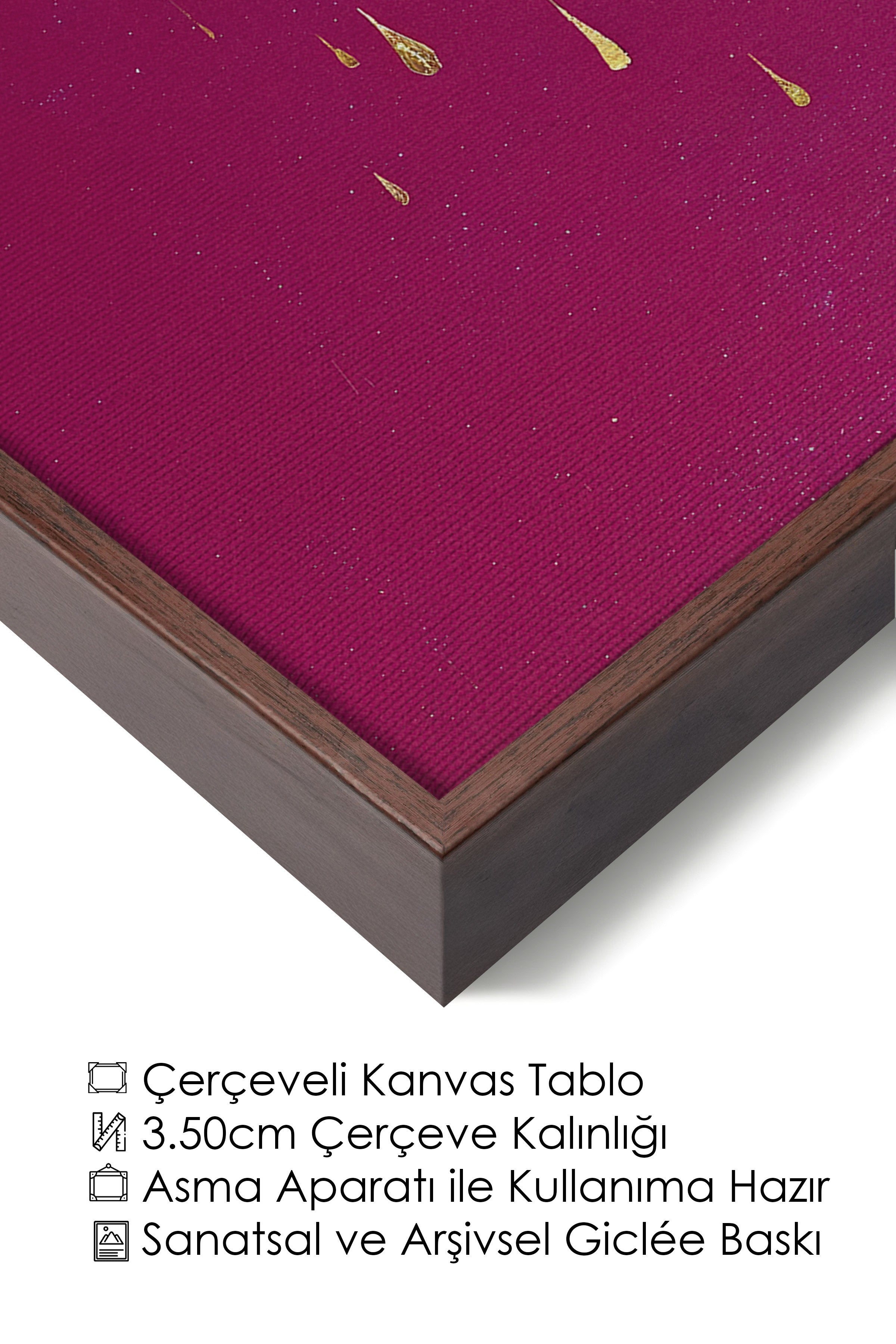 Duvar Tablosu, Lüks Kahverengi Çerçeveli Kanvas Tablo, Ritüel Serisi, Kuş Tablo, NO:115233
