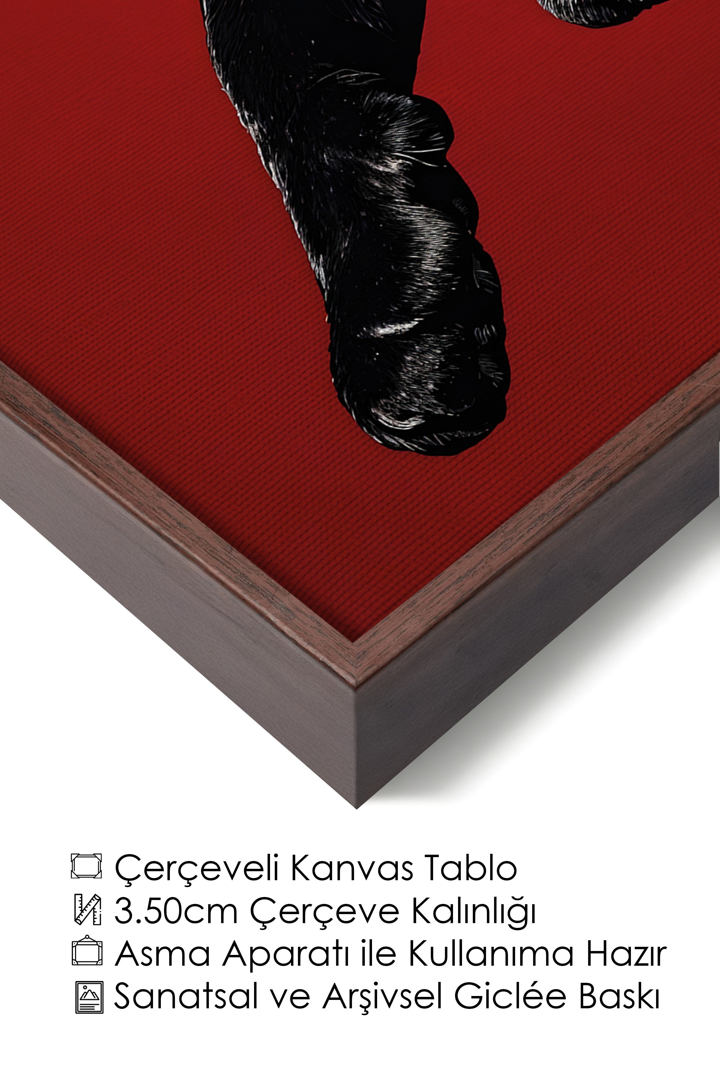 Duvar Tablosu, Lüks Kahverengi Çerçeveli Kanvas Tablo, Ritüel Serisi, Leopar Tablo, NO:115261