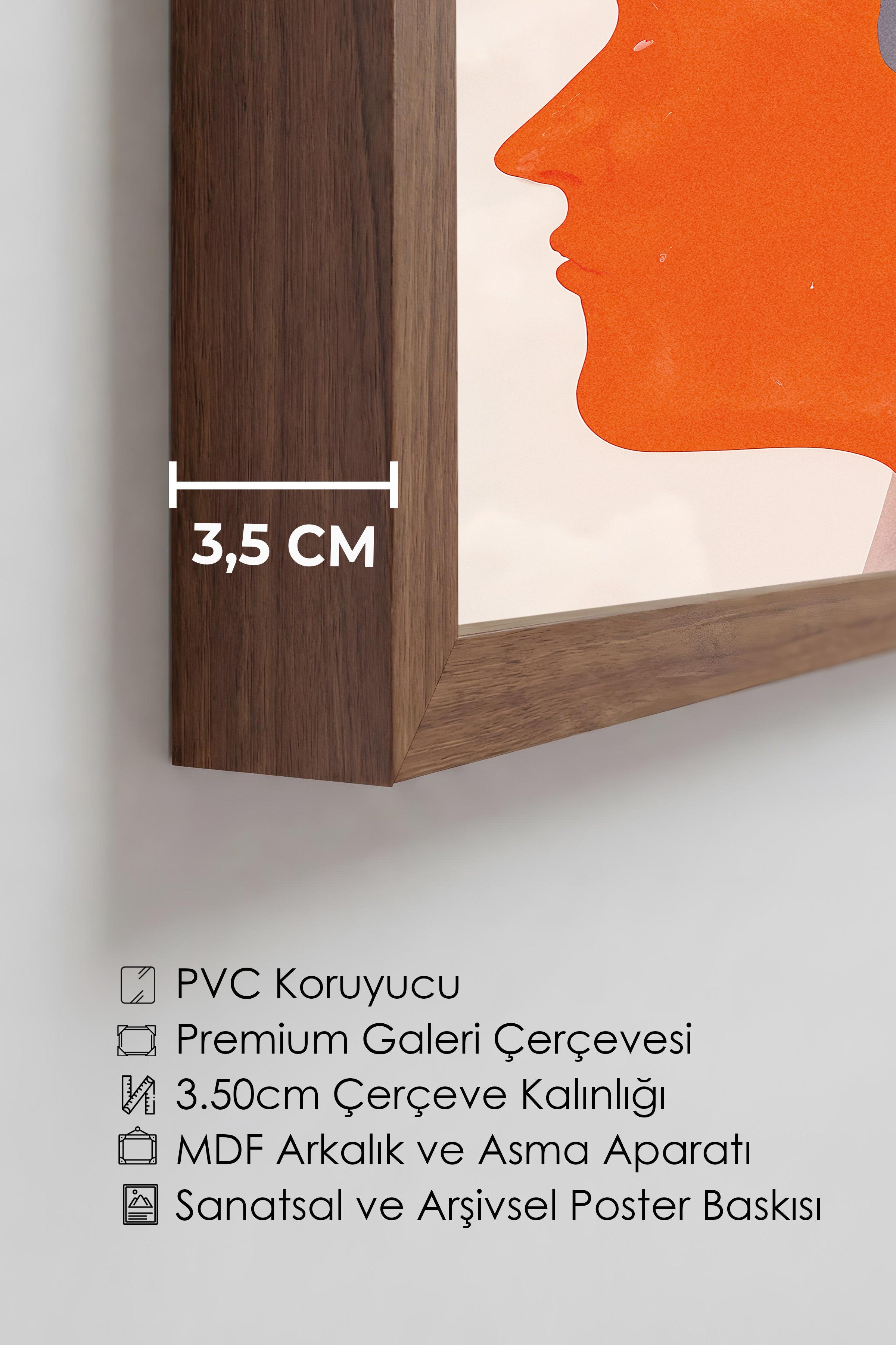 Duvar Tablosu, Lüks Kahverengi Çerçeveli Tablo ve Poster, Ritüel Serisi, Maximalist Tablo, NO:115192